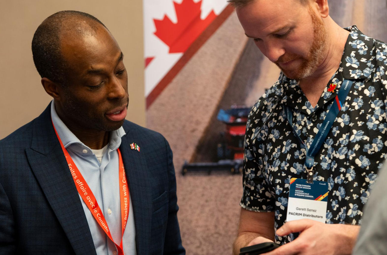 RTDs vs Craft Beer in 2026: What Global Buyers Are Actually Ordering Right Now