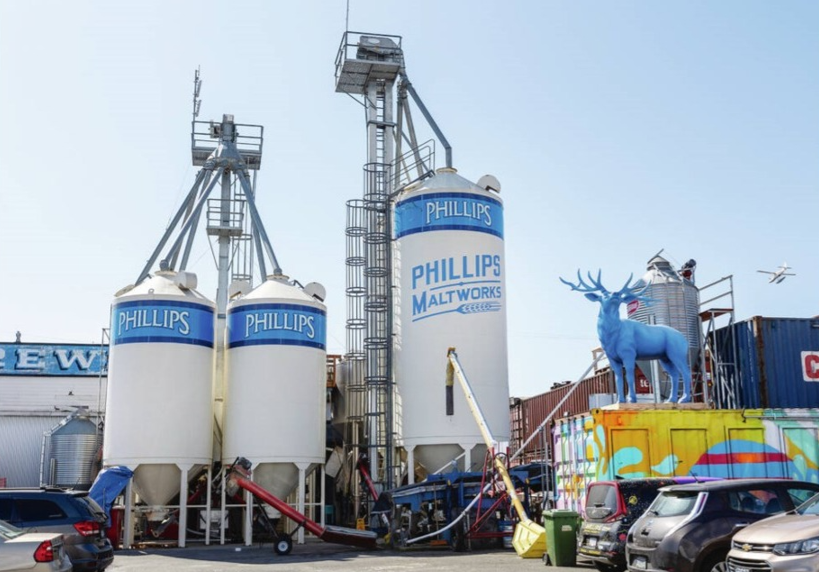 Craft Beer and RTDs in Panama: A Strategic Entry Point for Global Beverage Exporters