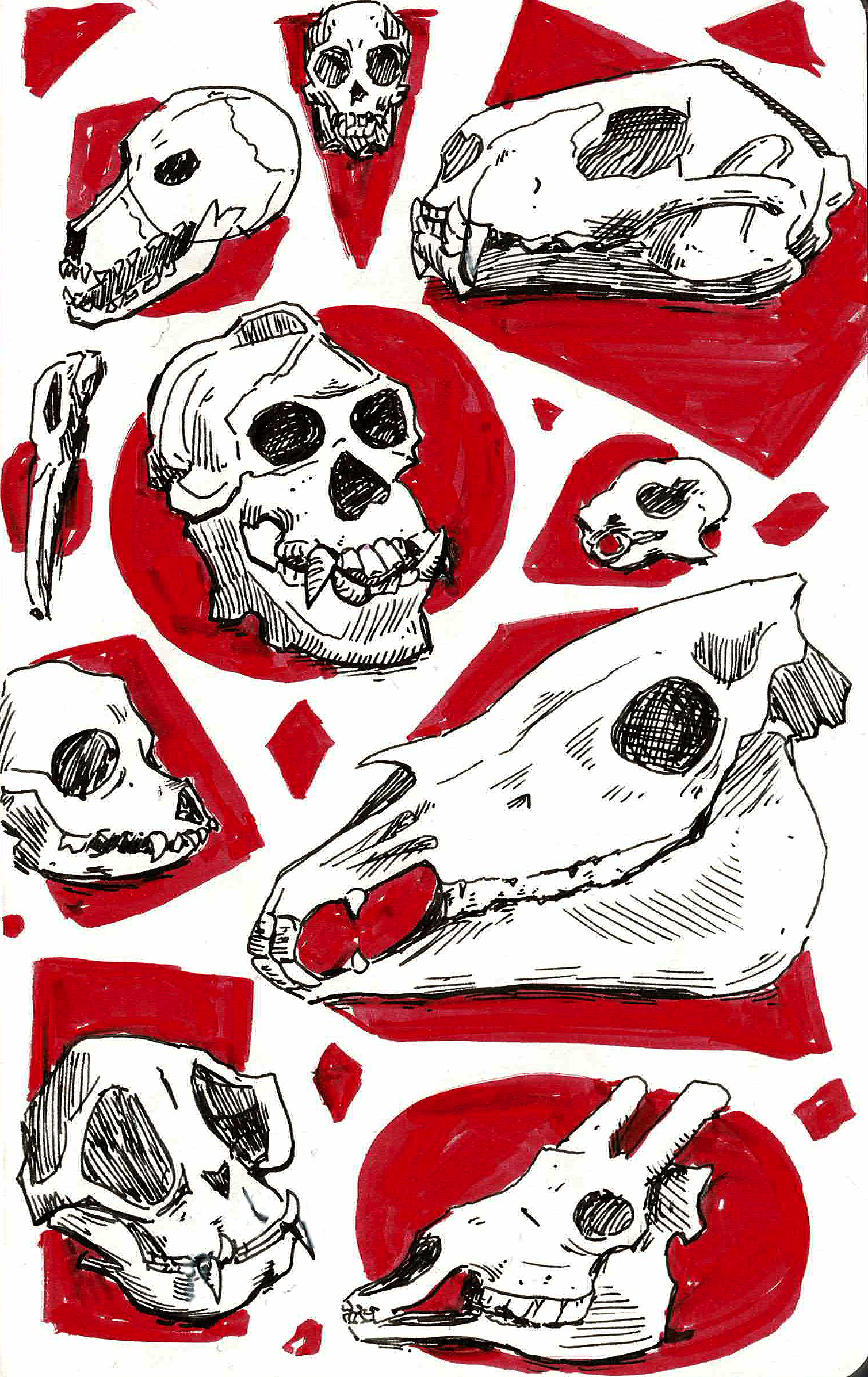 Skulls Red.png
