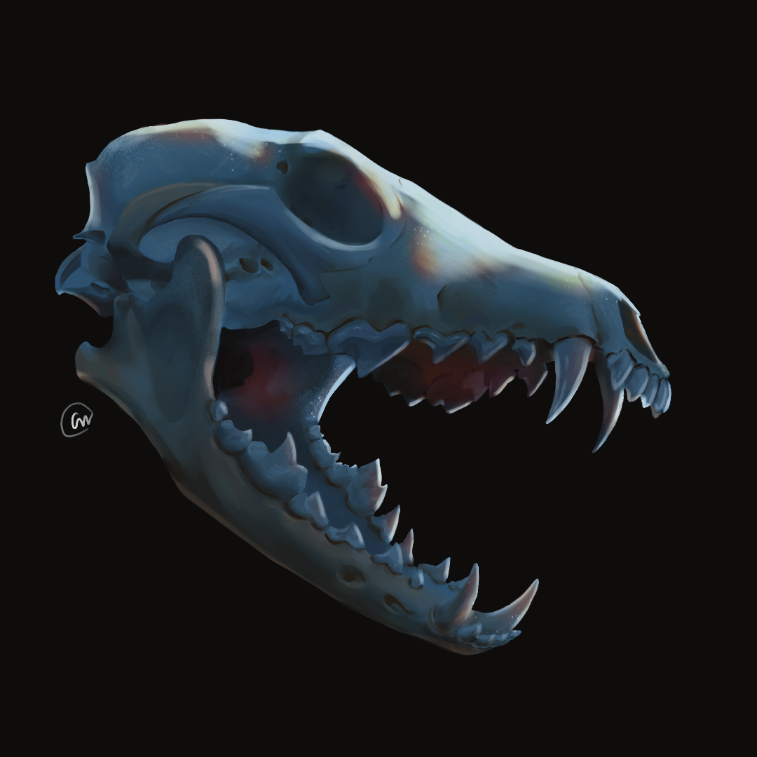 Skull_24'.png