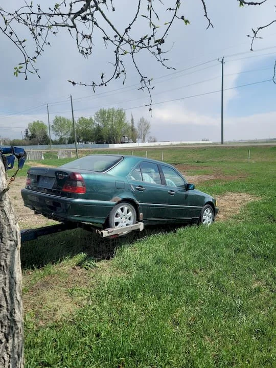 A green sedan car is parked in a grassy area, partially on a wooden cart, with a tree in the foreground and a field with power lines and trees in the background.