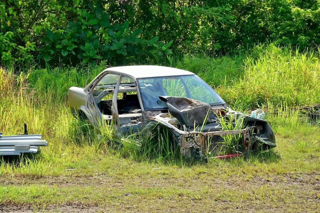 Abandoned, rusted car body in overgrown grass and bushes