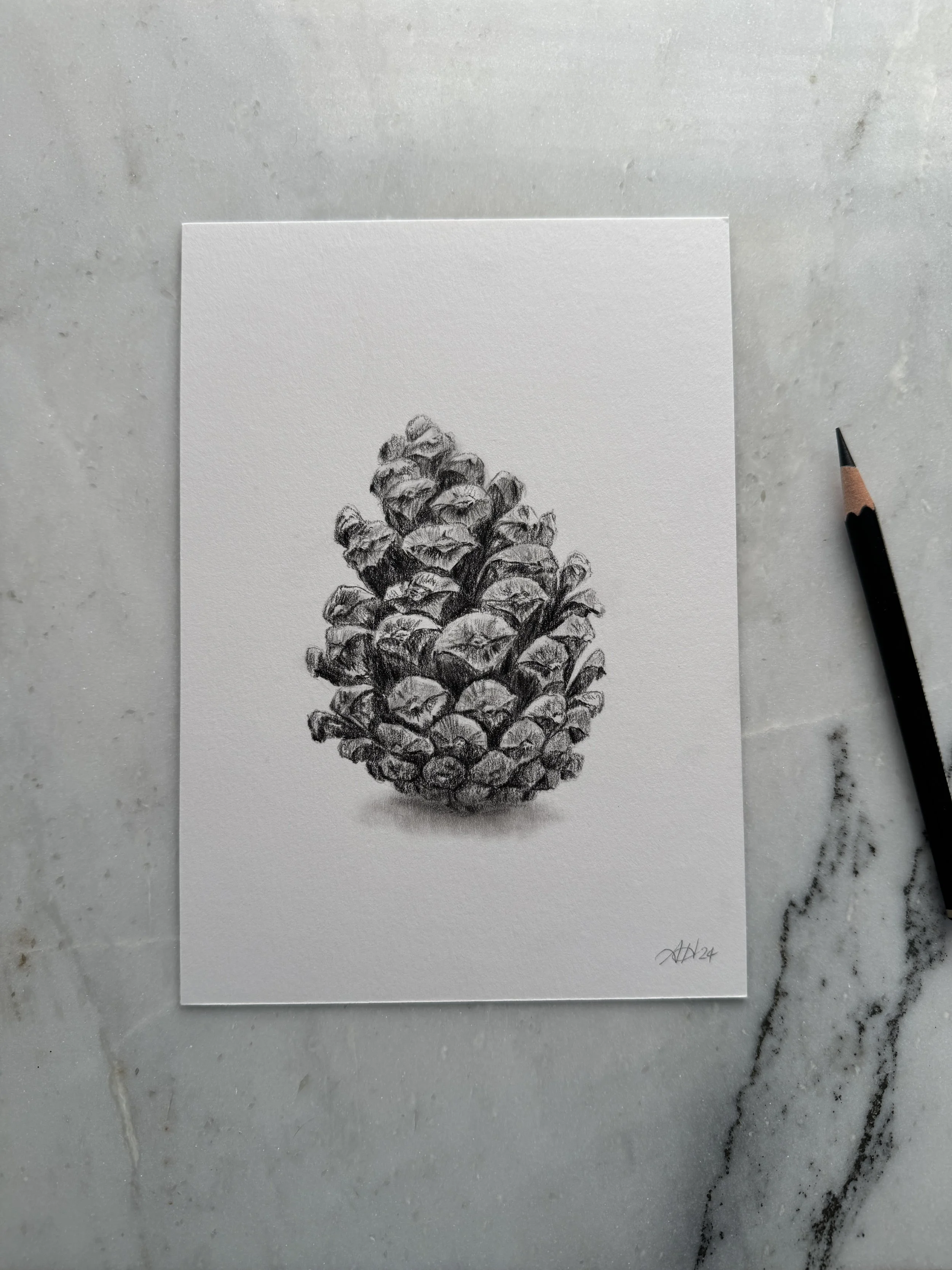 Oak Leaf 1 - Original Drawing — Amy Hilger Studio