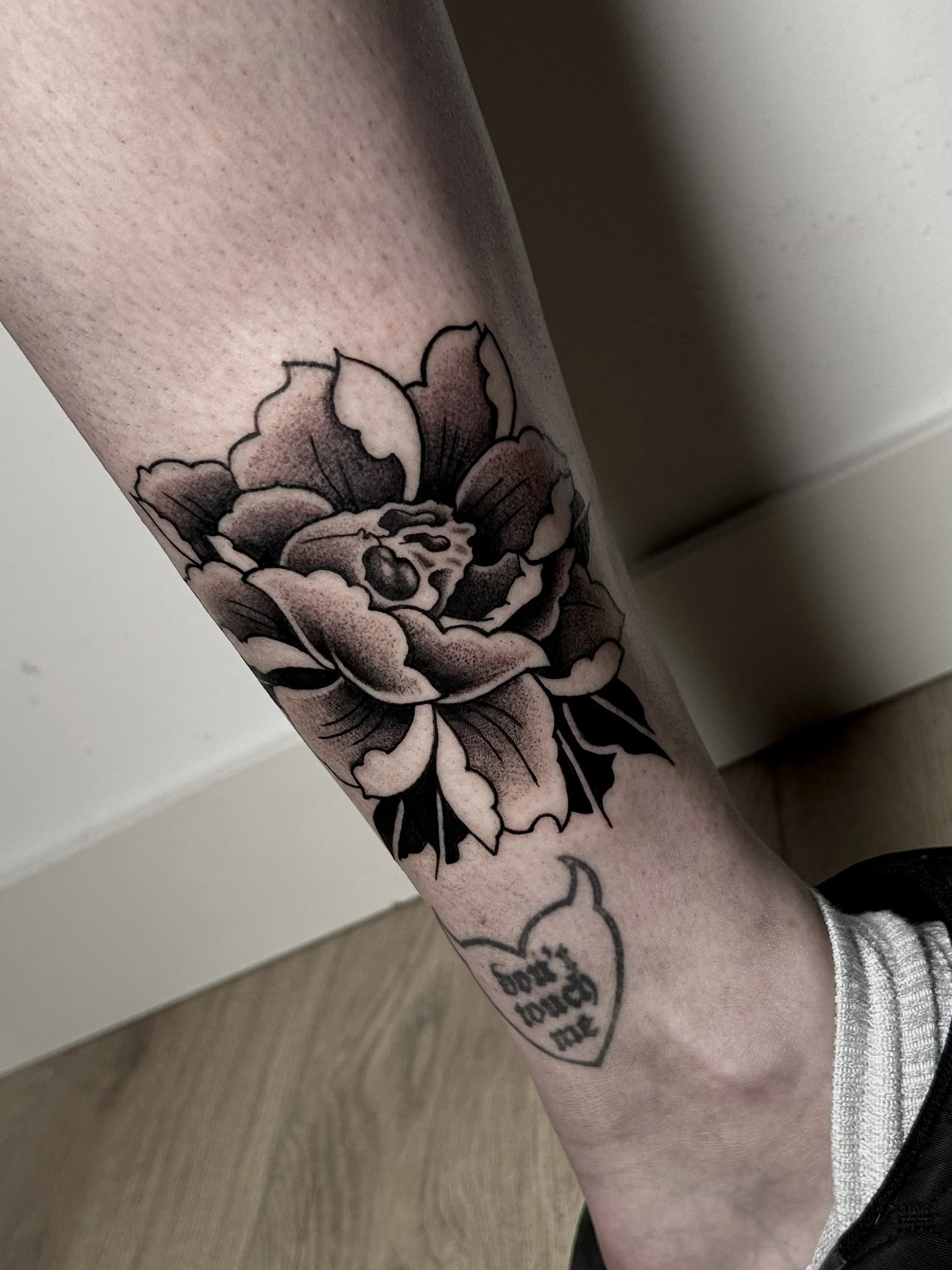 FullSizeRender(2).jpg