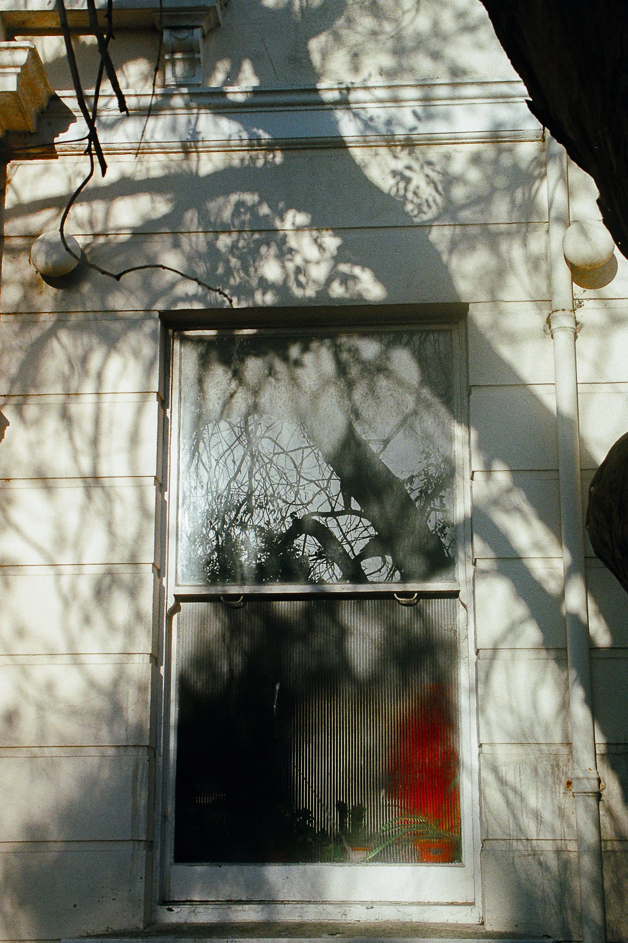 Window Print.jpg