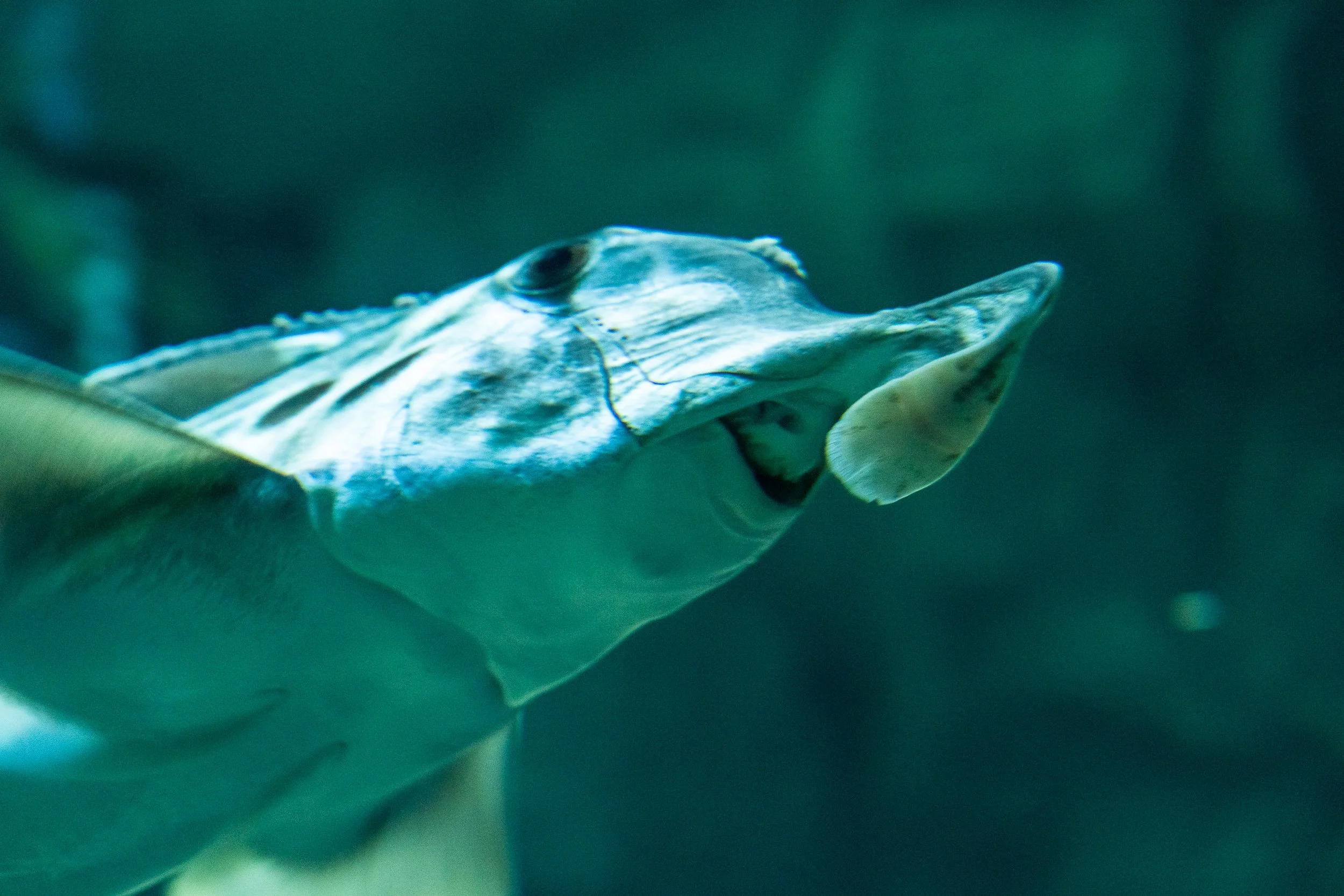 20231123-_DSC5813.jpg