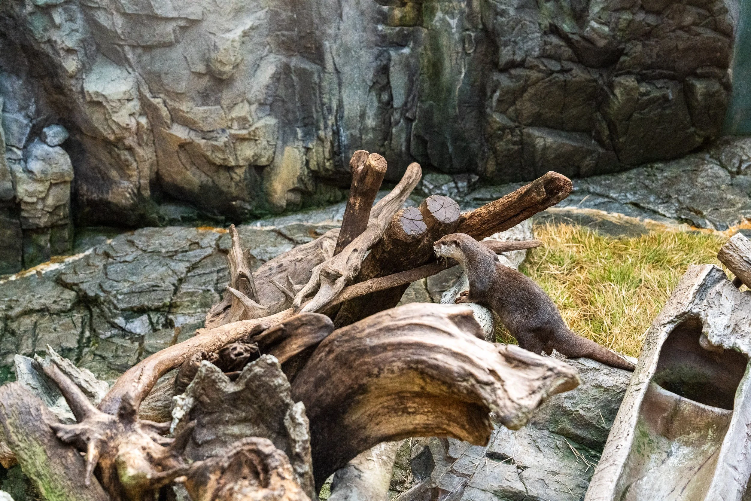 20231123-_DSC5776.jpg