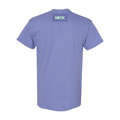Back view of a plain blue T-shirt with a label marked 'NECK' at the top.