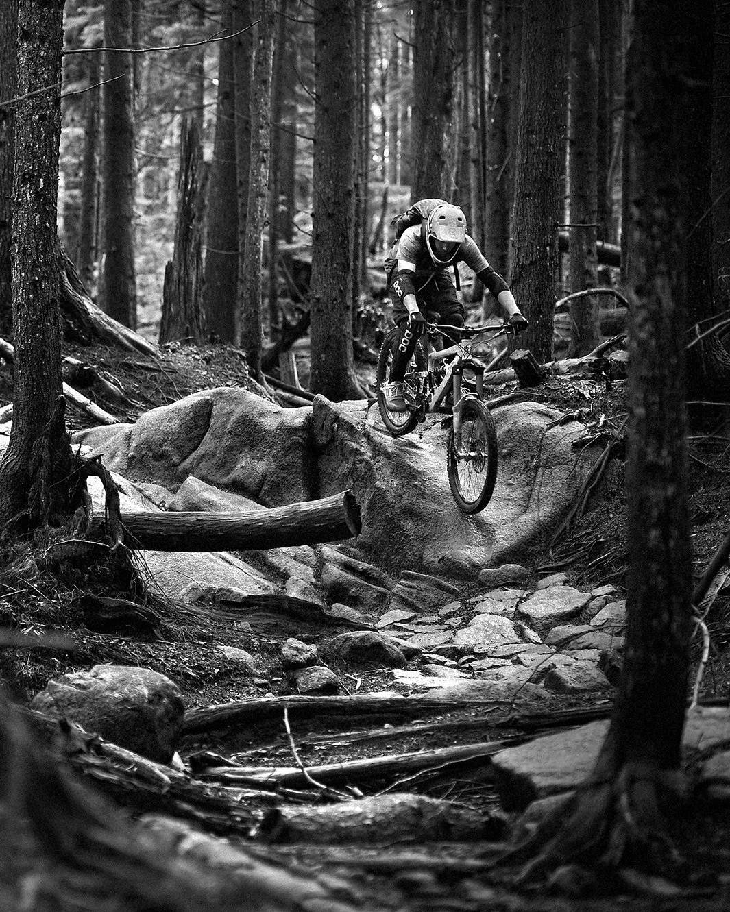 The North Shore - Mountainbiking