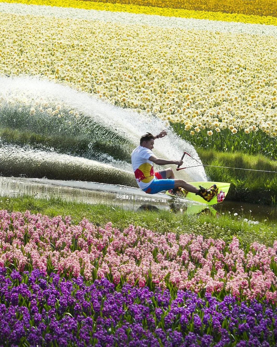Flower Fields - Wakeboarding