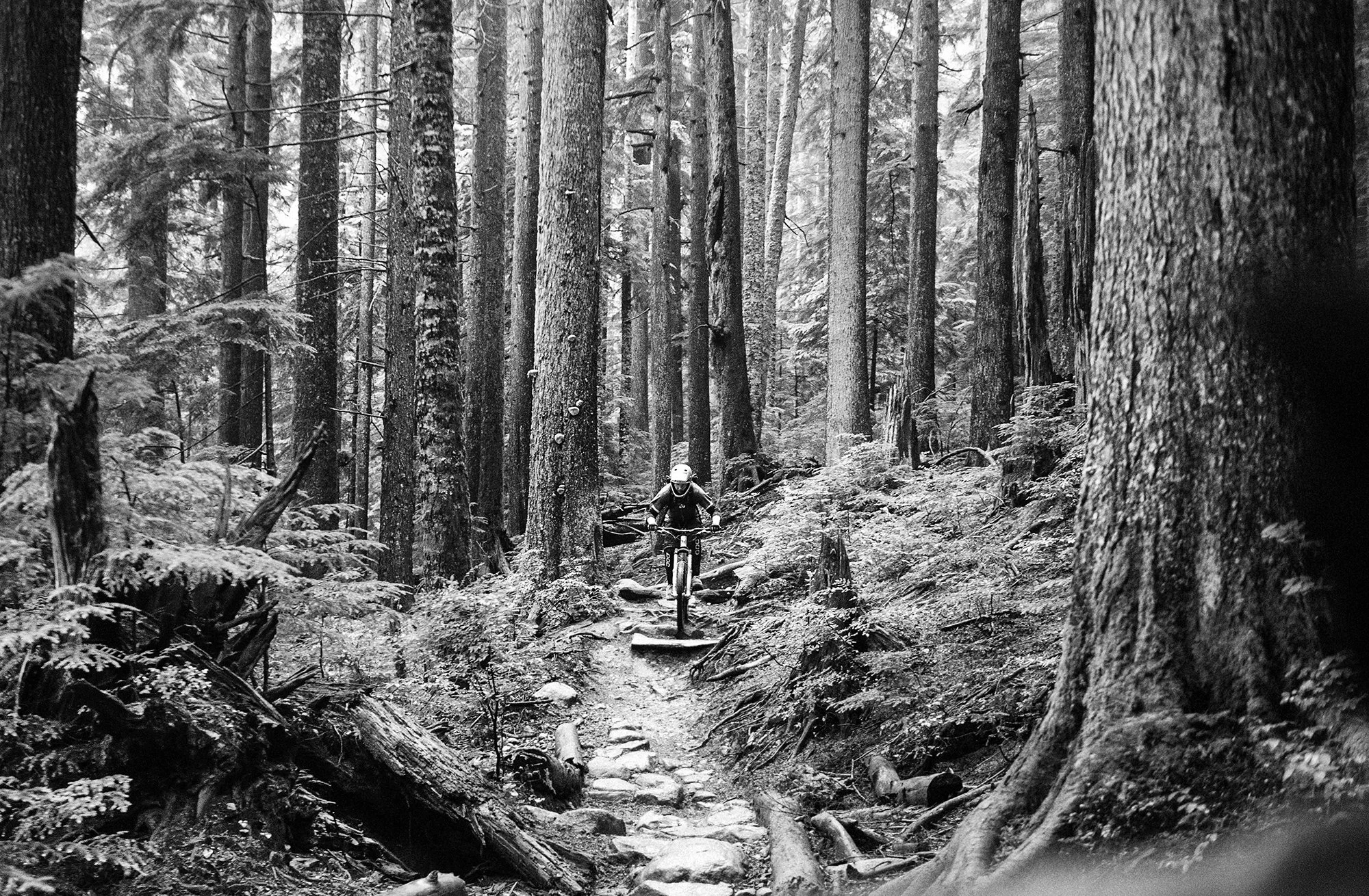 The North Shore