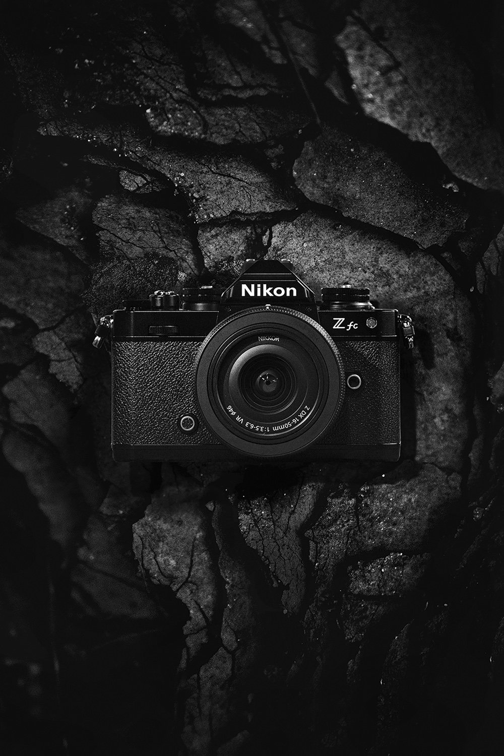 JS_NIKON_Zfc_BW.jpg