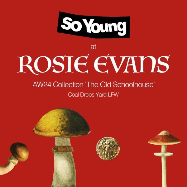Press and Projects — Rosie Evans