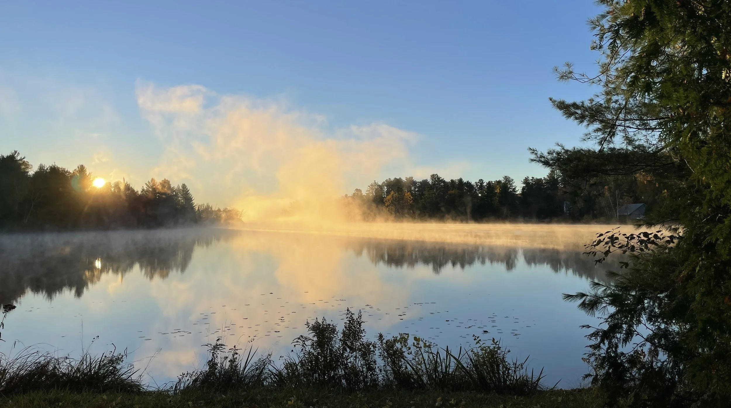 Terveisiä Madonna Talosta