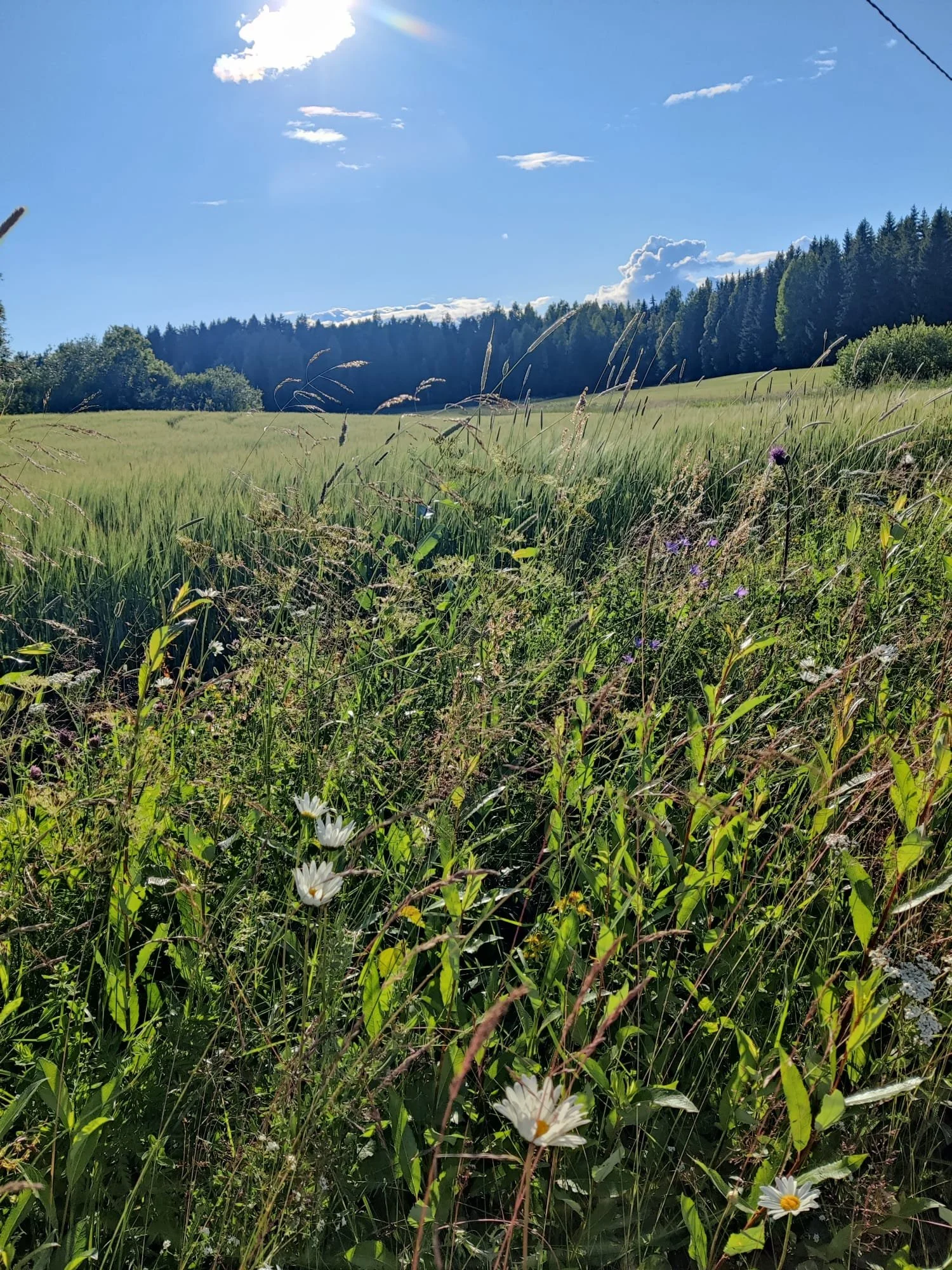 Pari yllätystä Isältä