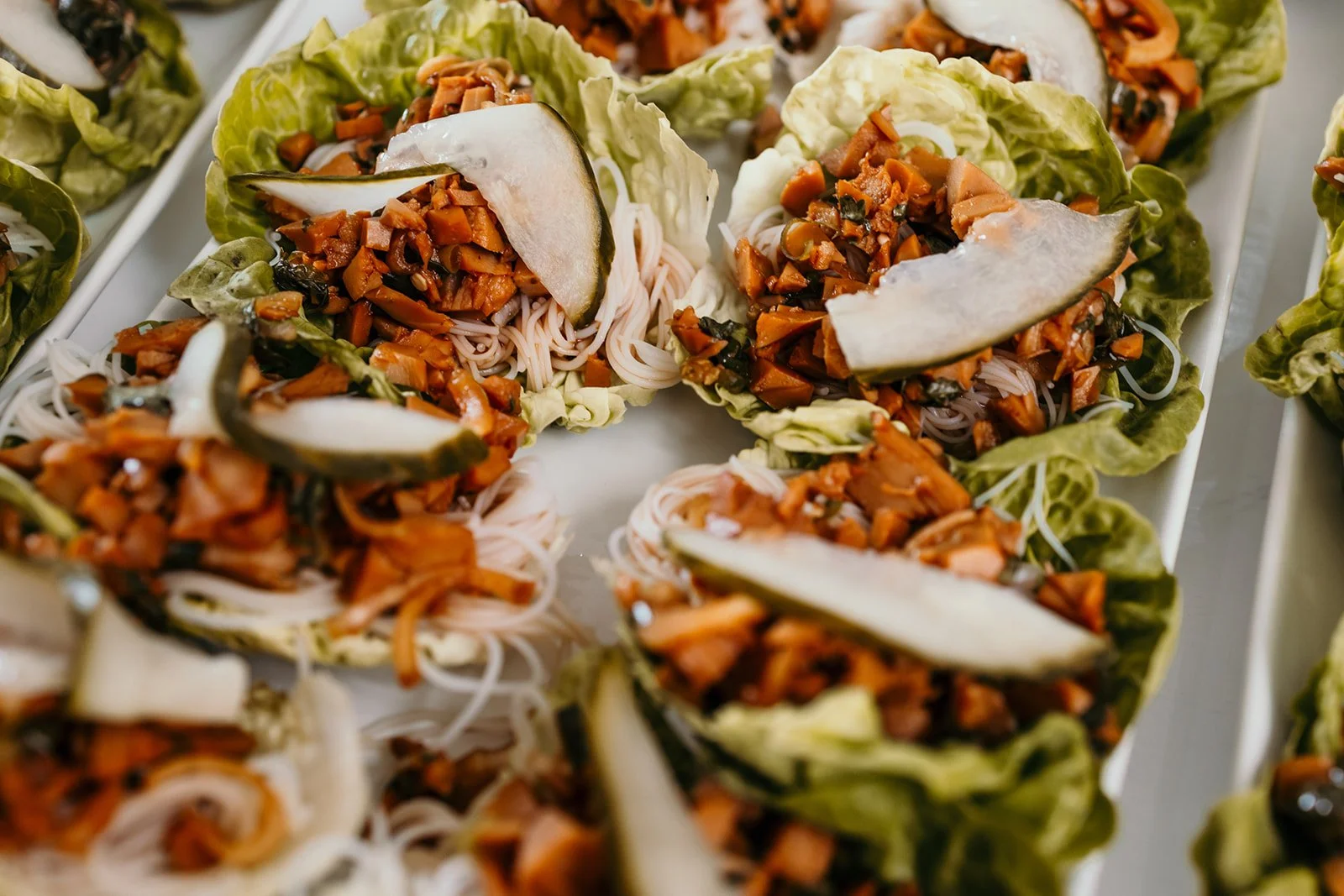 Cleo and Matt-522.jpg