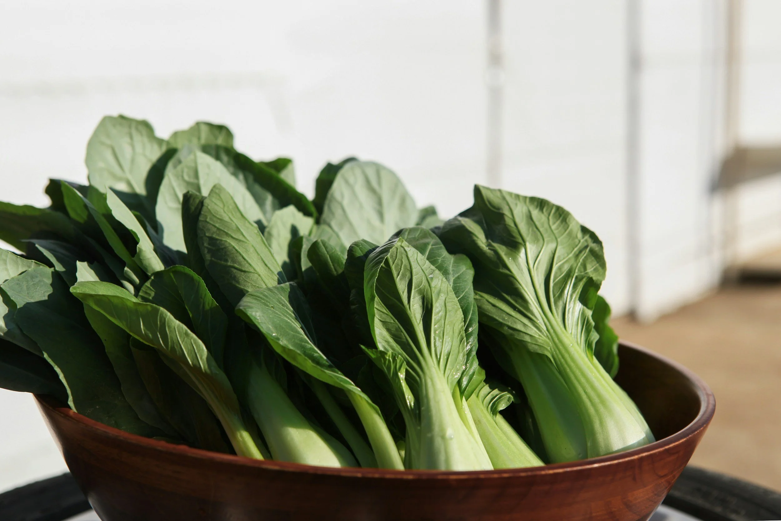 fresh green pak choi, fresh ingredients for vegan catering