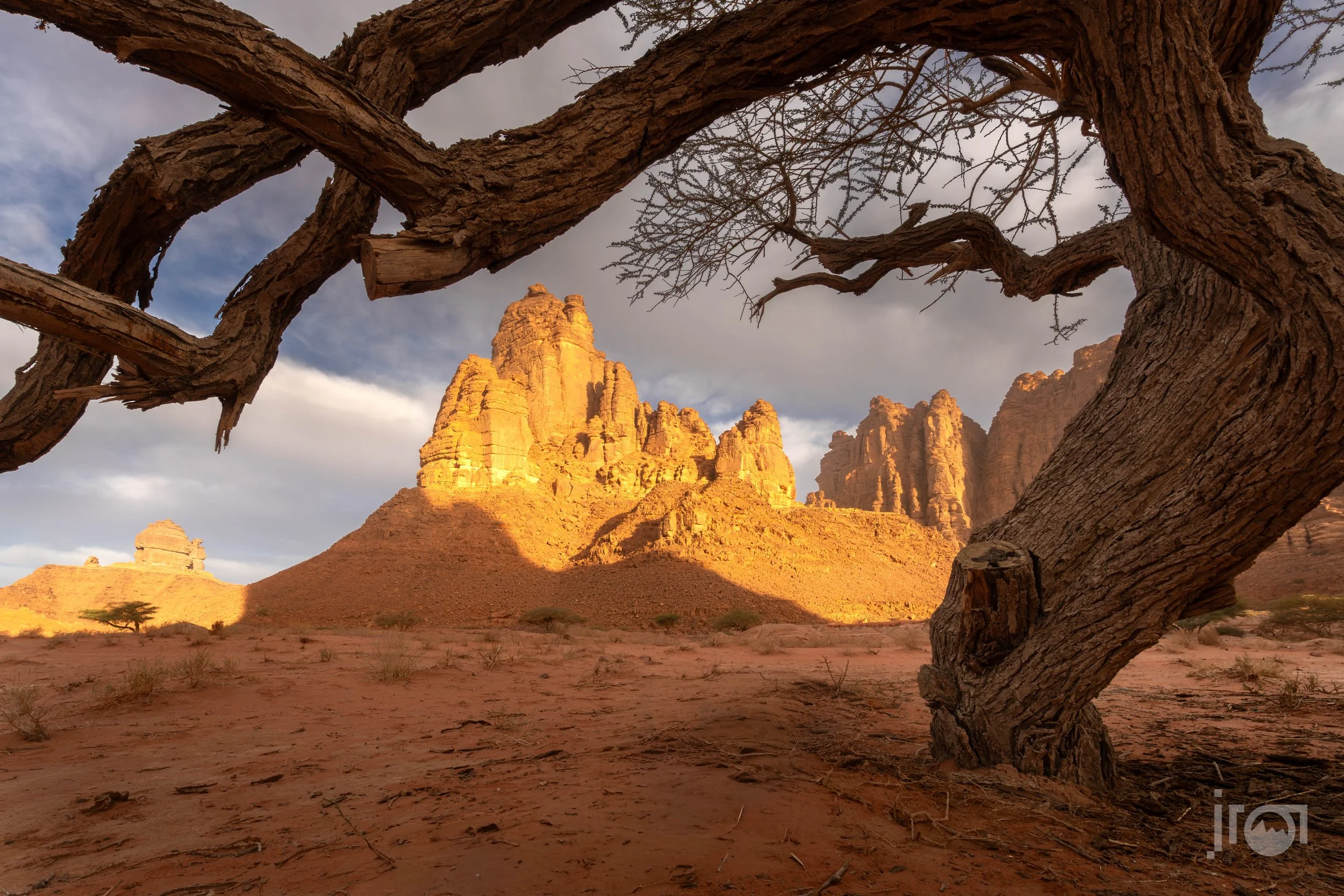 Saudi_Al Disah_1_160226-144.jpg