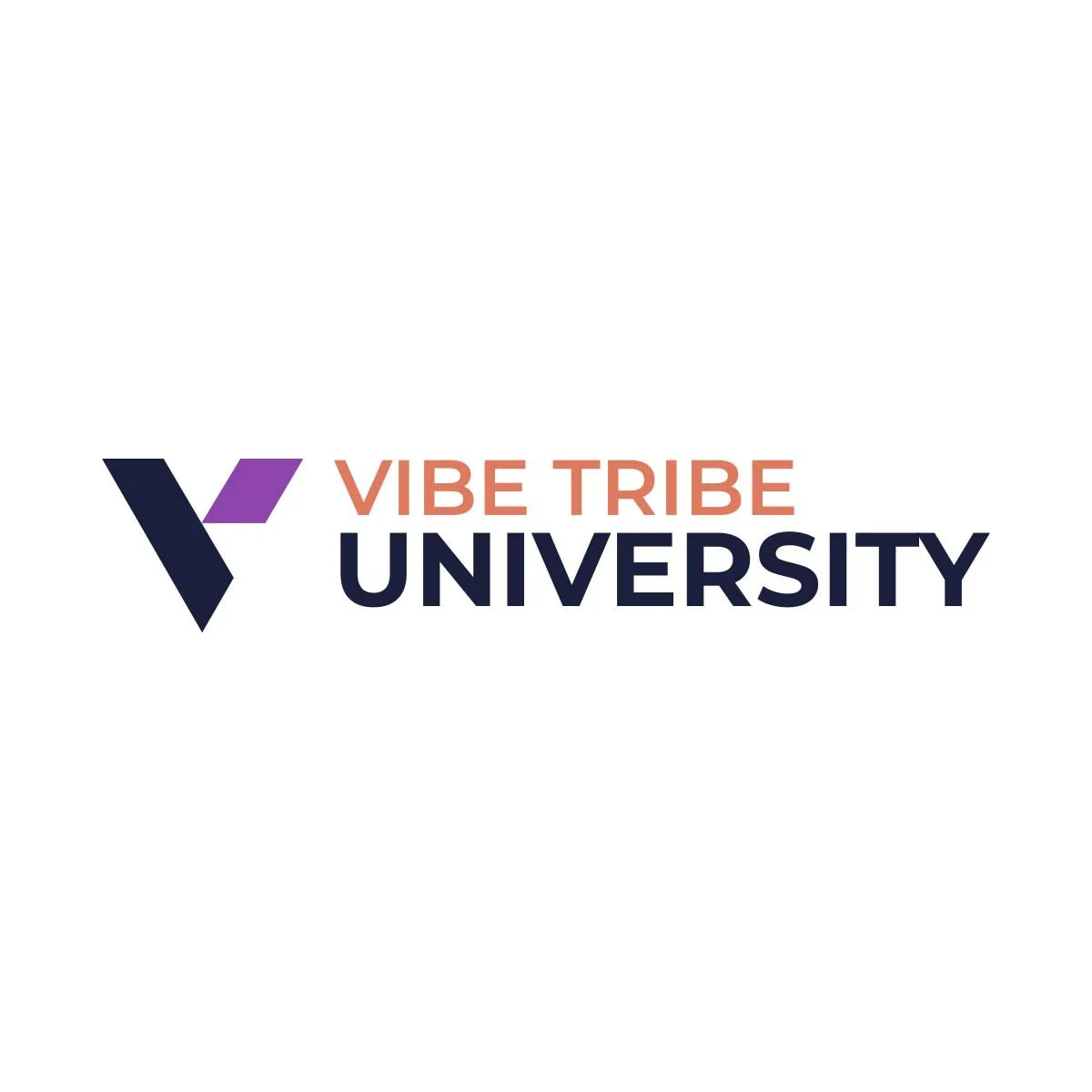vibe-tribe-university-logo.jpg