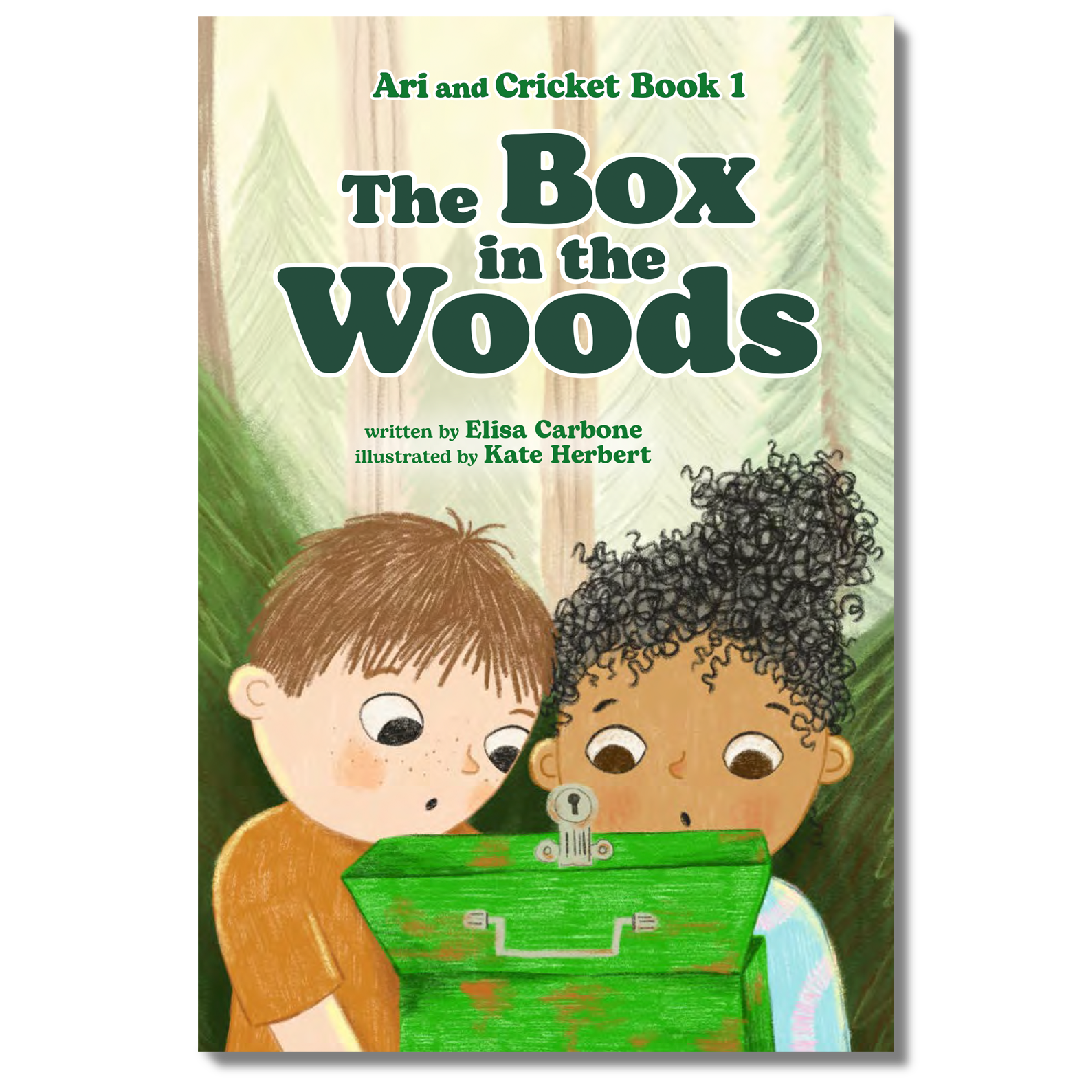 The Box In The Woods