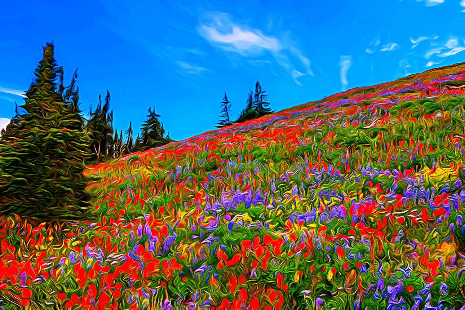 Mountain Wildflowers.jpg