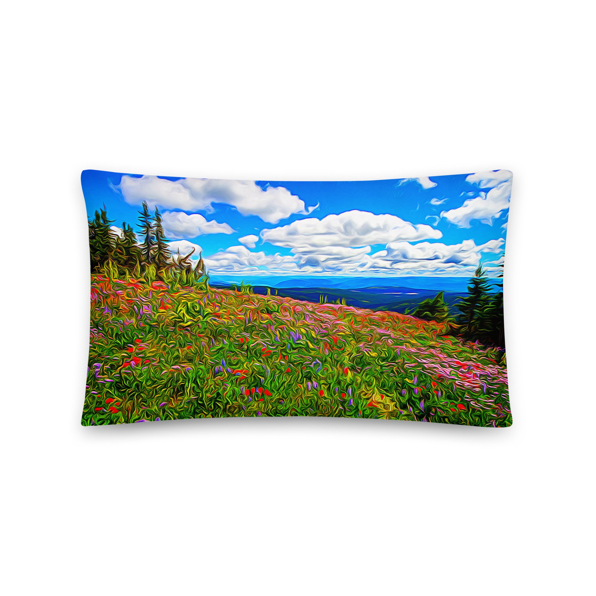 all-over-print-basic-pillow-20x12-front-65a468a1c2077.jpg