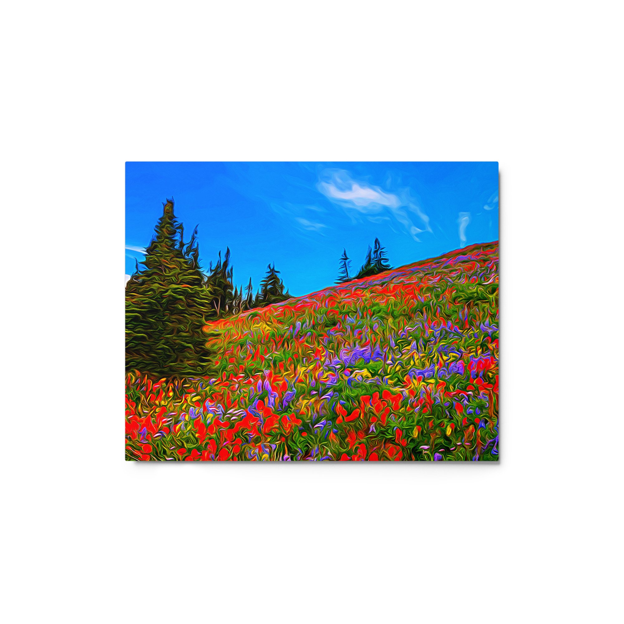 glossy-metal-print-(in)-white-8x10-front-65a484fe8135d.jpg