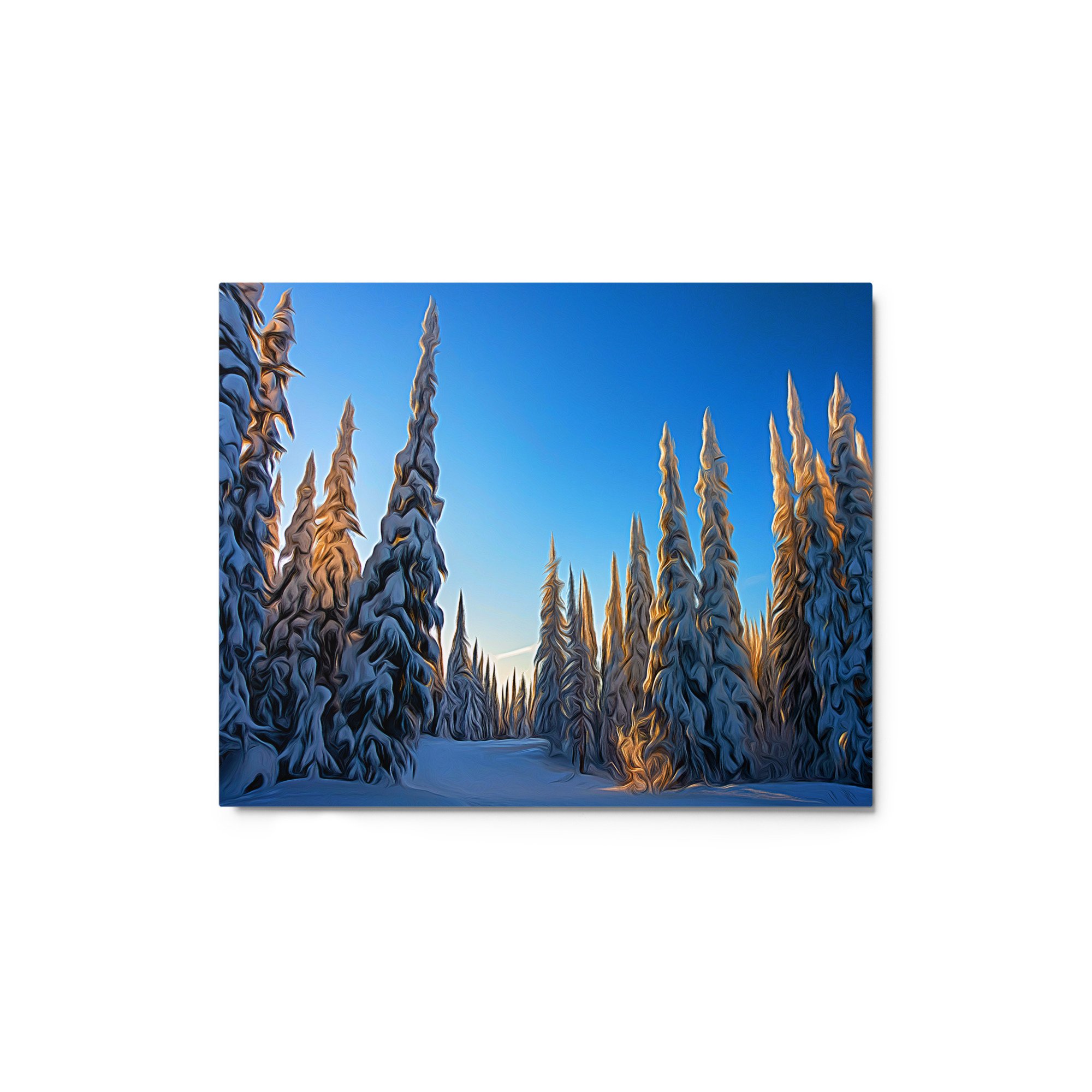 glossy-metal-print-(in)-white-8x10-front-65a48760b365f.jpg