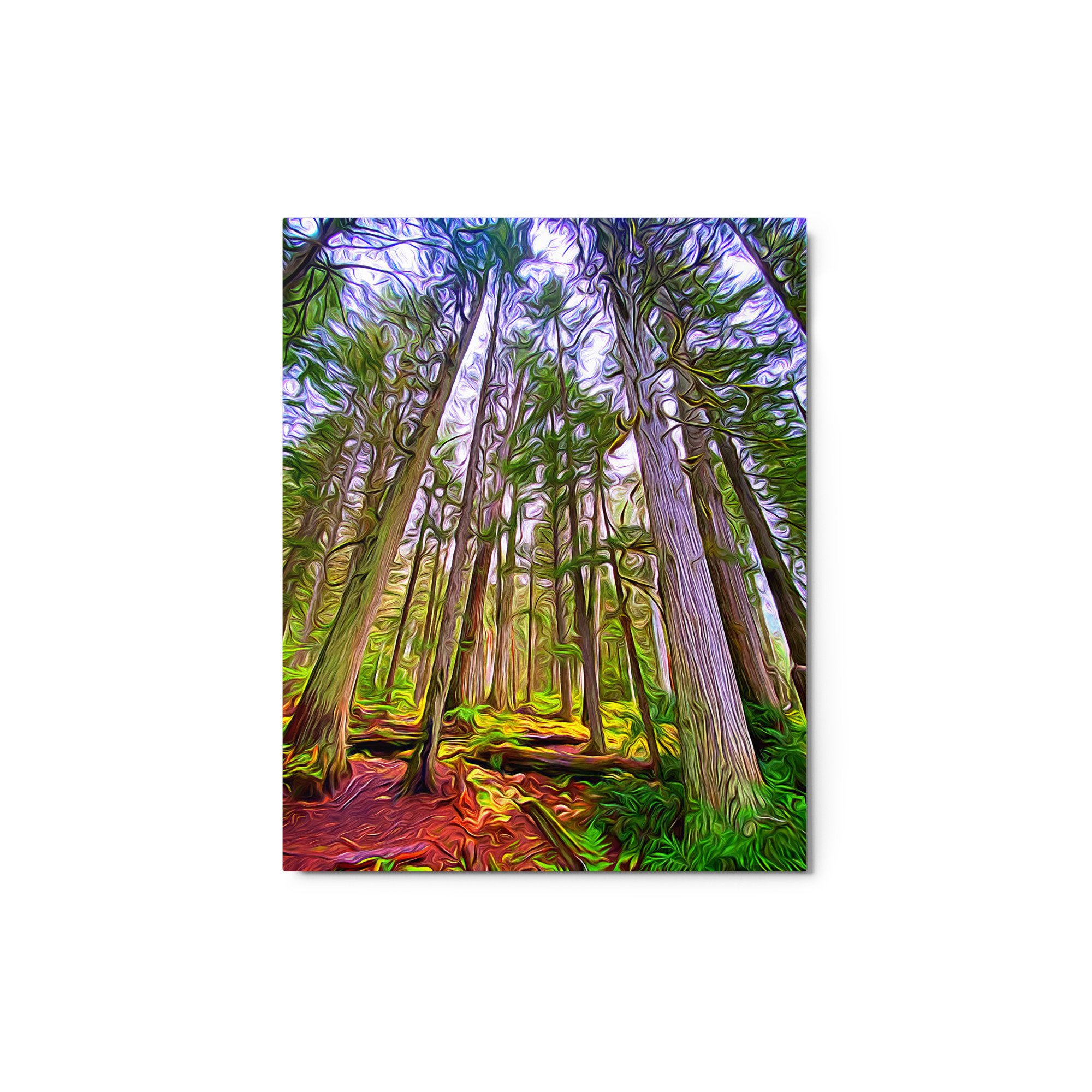 glossy-metal-print-(in)-white-8x10-front-65a488f5c6fa9.jpg