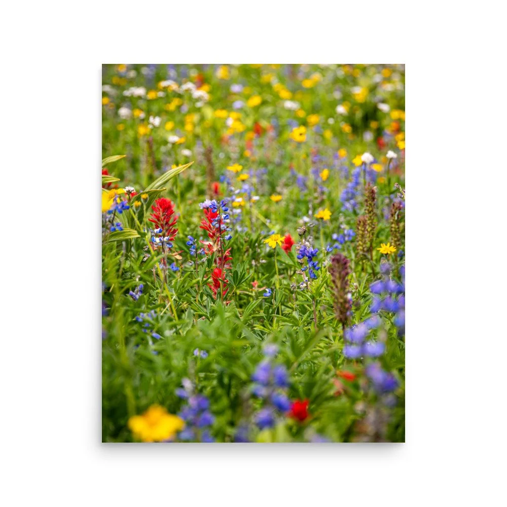 premium-luster-photo-paper-poster-(in)-16x20-front-664a284b089b9.jpg