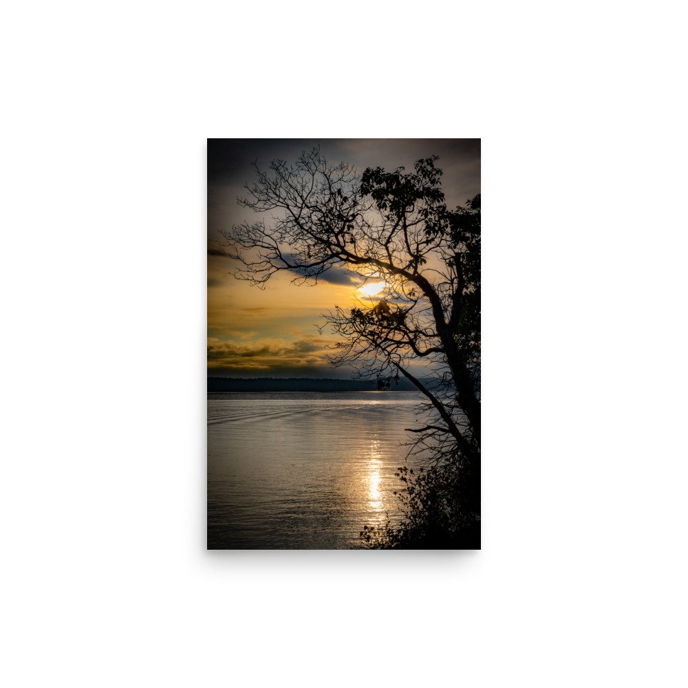 premium-luster-photo-paper-poster-(in)-12x18-front-664a29a95a46c.jpg