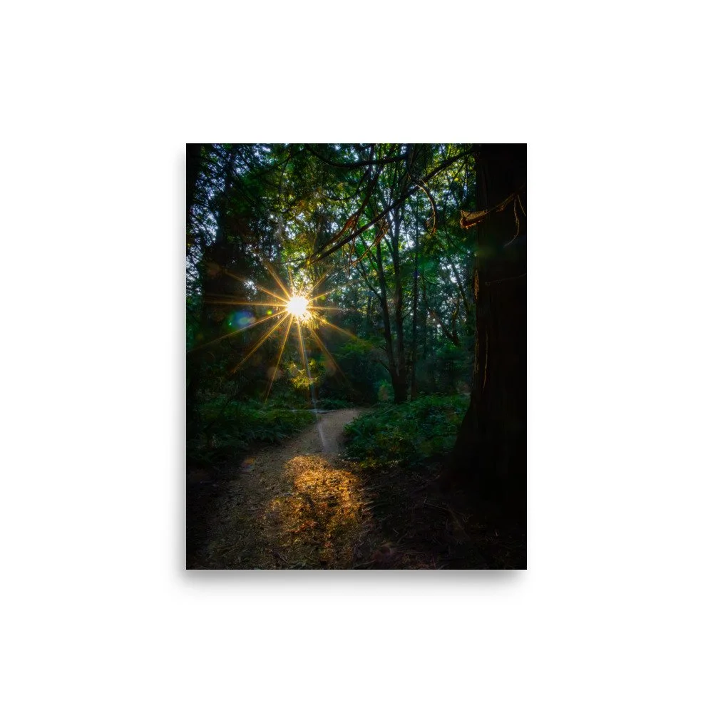 premium-luster-photo-paper-poster-(in)-8x10-front-664a29cf22e0a.jpg