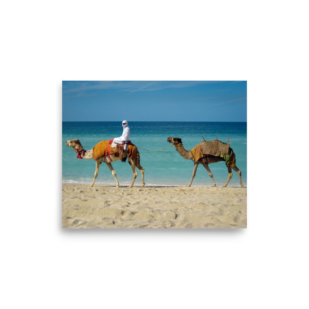 premium-luster-photo-paper-poster-(in)-8x10-front-664a2c32554d2.jpg