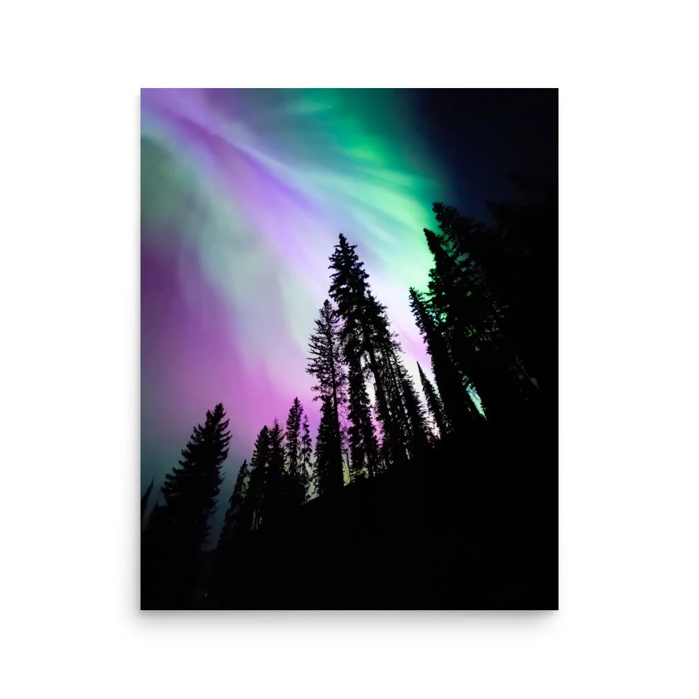 premium-luster-photo-paper-poster-(in)-16x20-front-66731f488e82d.jpg
