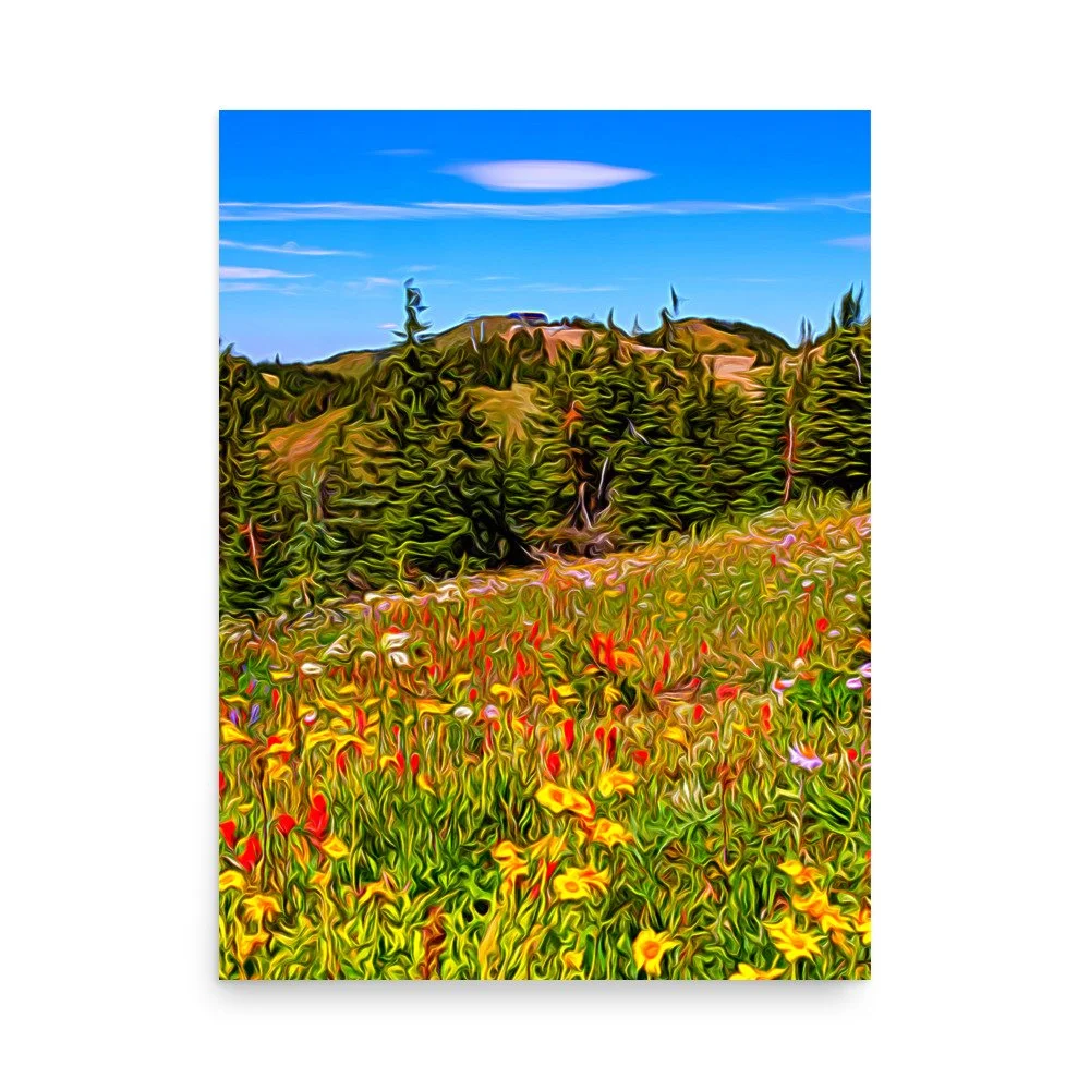 Photo paper poster Summer Flowers