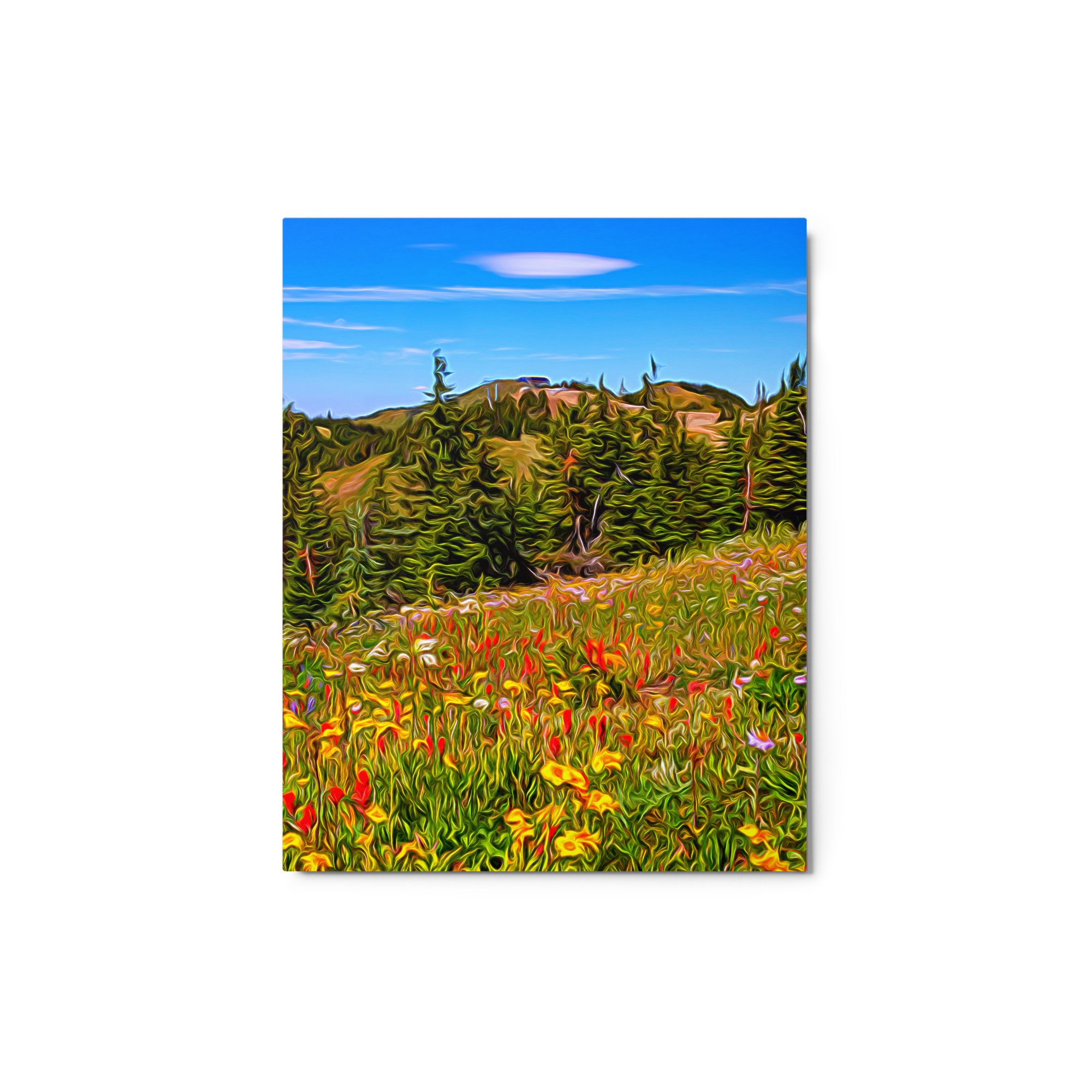 glossy-metal-print-(in)-white-8x10-front-6727eea87b603.jpg