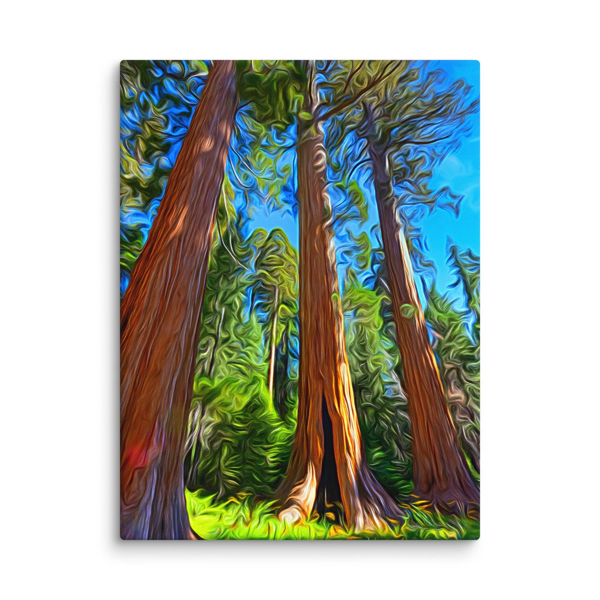canvas-(in)-12x16-wall-6a8cb1800ec87.jpg