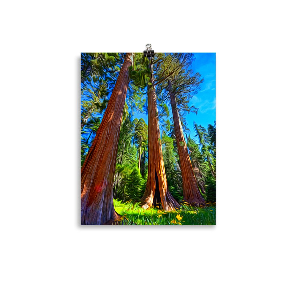 premium-luster-photo-paper-poster-(in)-11x14-transparent-6a8cb781d3901.jpg