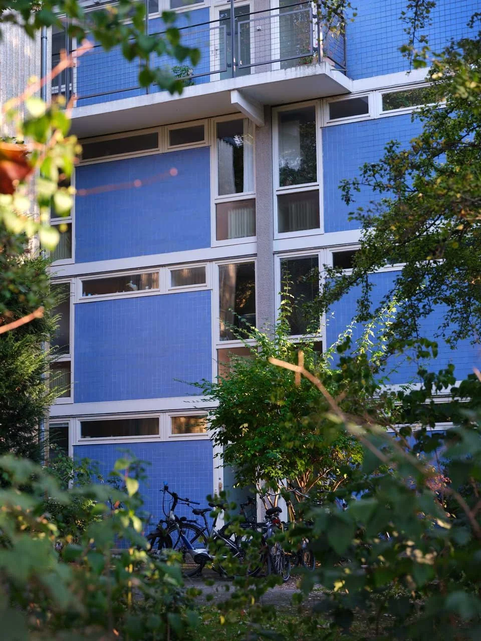 blaueshaus.jpg