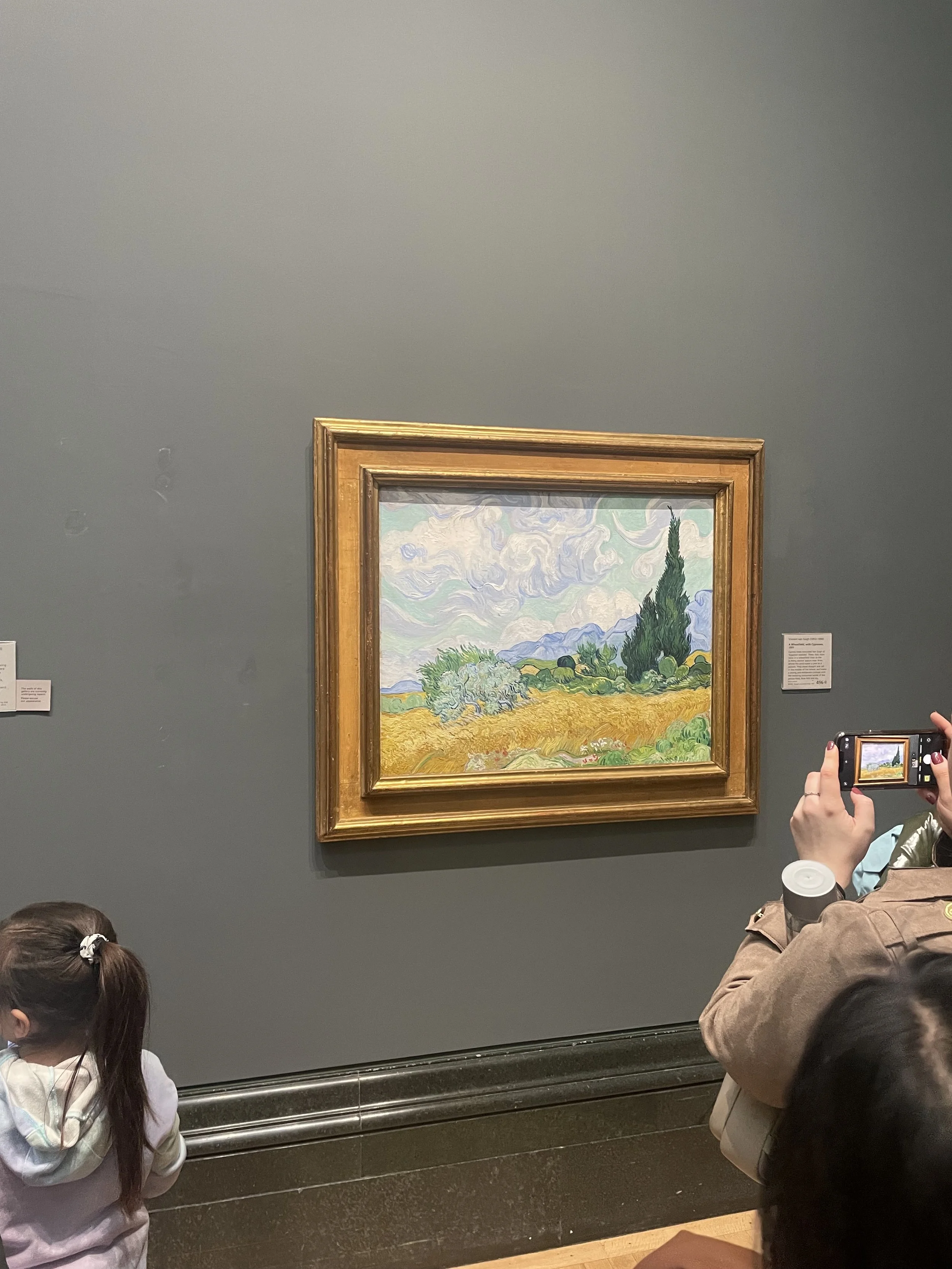 IMG_1192.jpeg