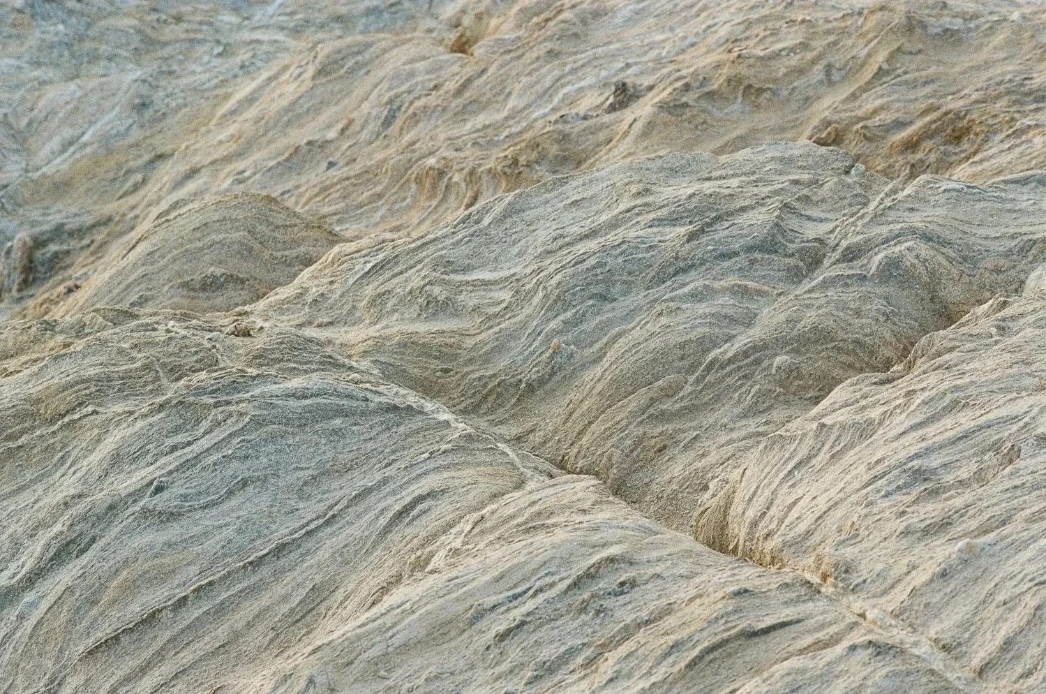 Sullo sfondo ci sono rocce chiare con venature scure, che mostrano una formazione geologica stratificata.