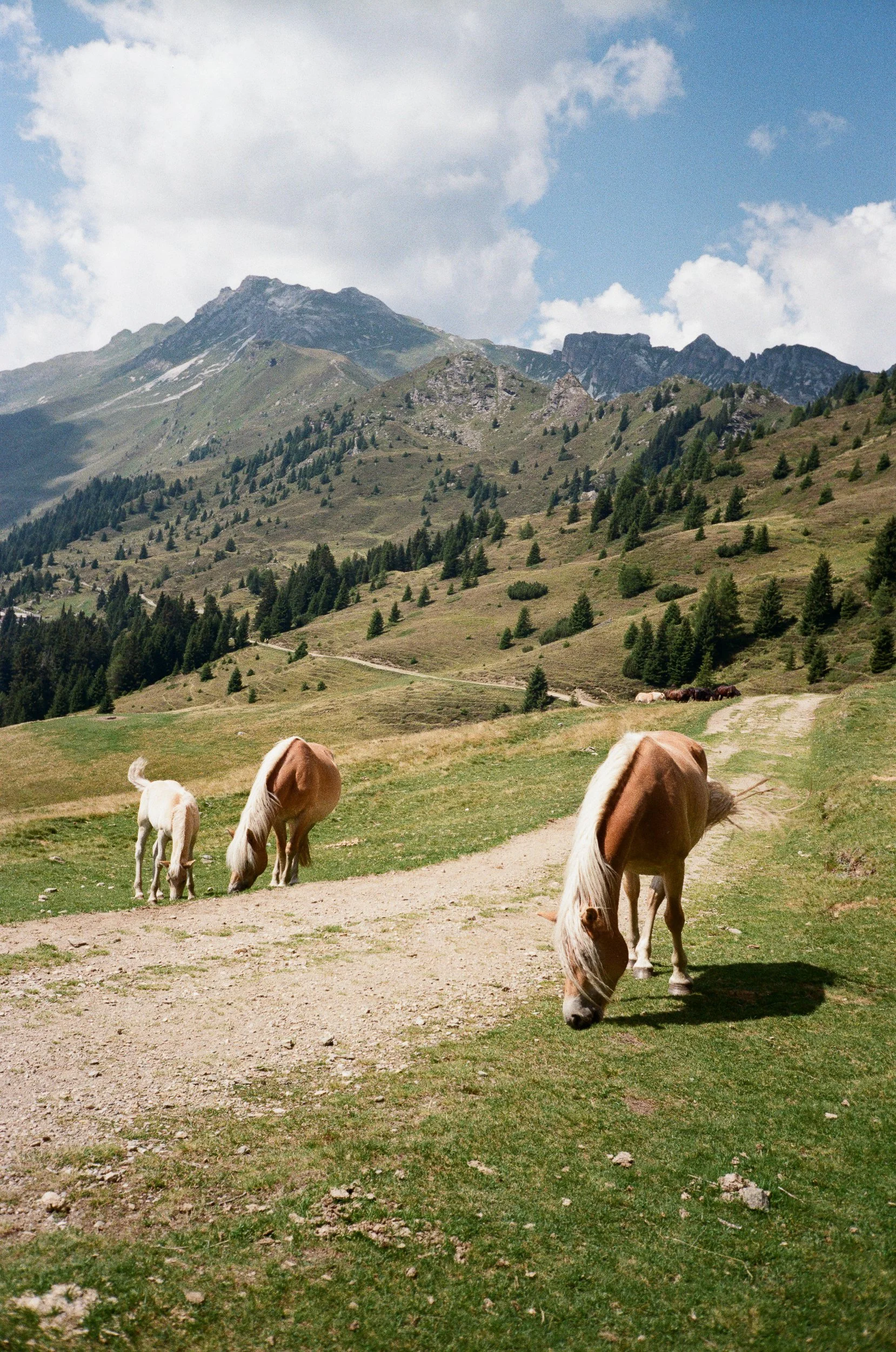 TravelHotelleryPhotographer©Arianna_Roda-3-12.jpg