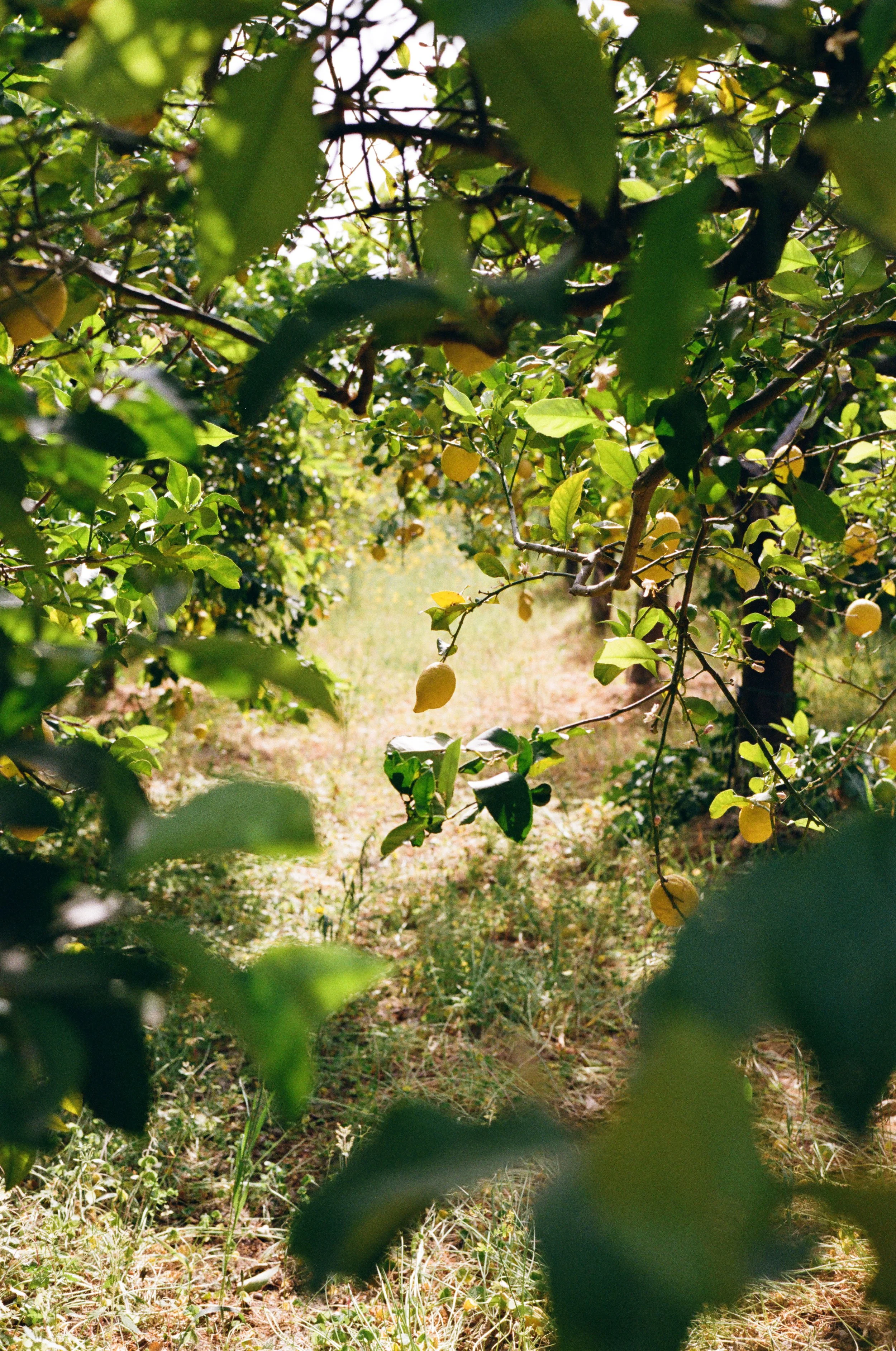 ©Arianna-Roda_travel_photography_sicily2.jpg