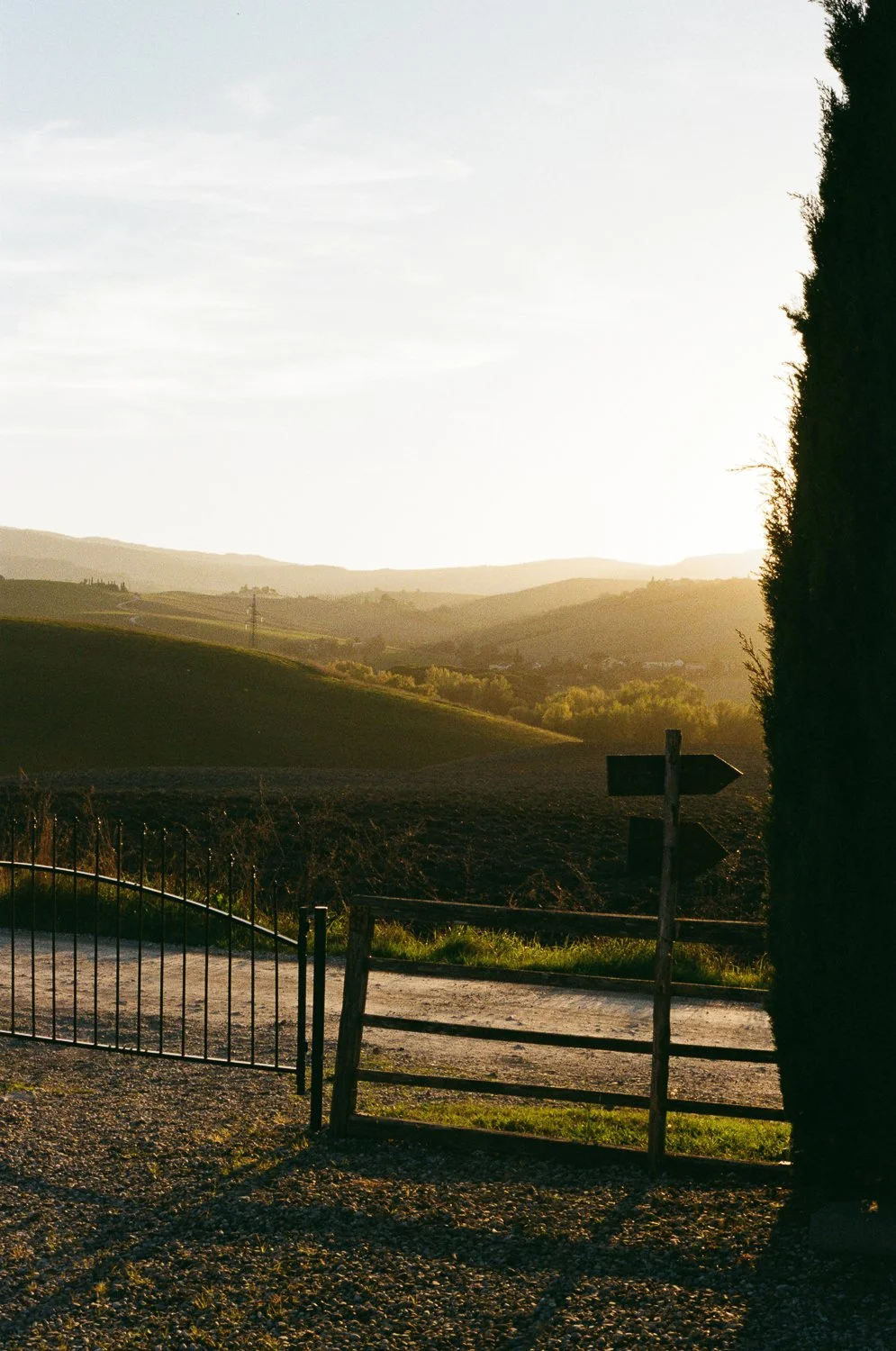 Paesaggio rurale con colline e campi al tramonto, cartello segnaletico di lato, recinzione e un albero sulla destra.