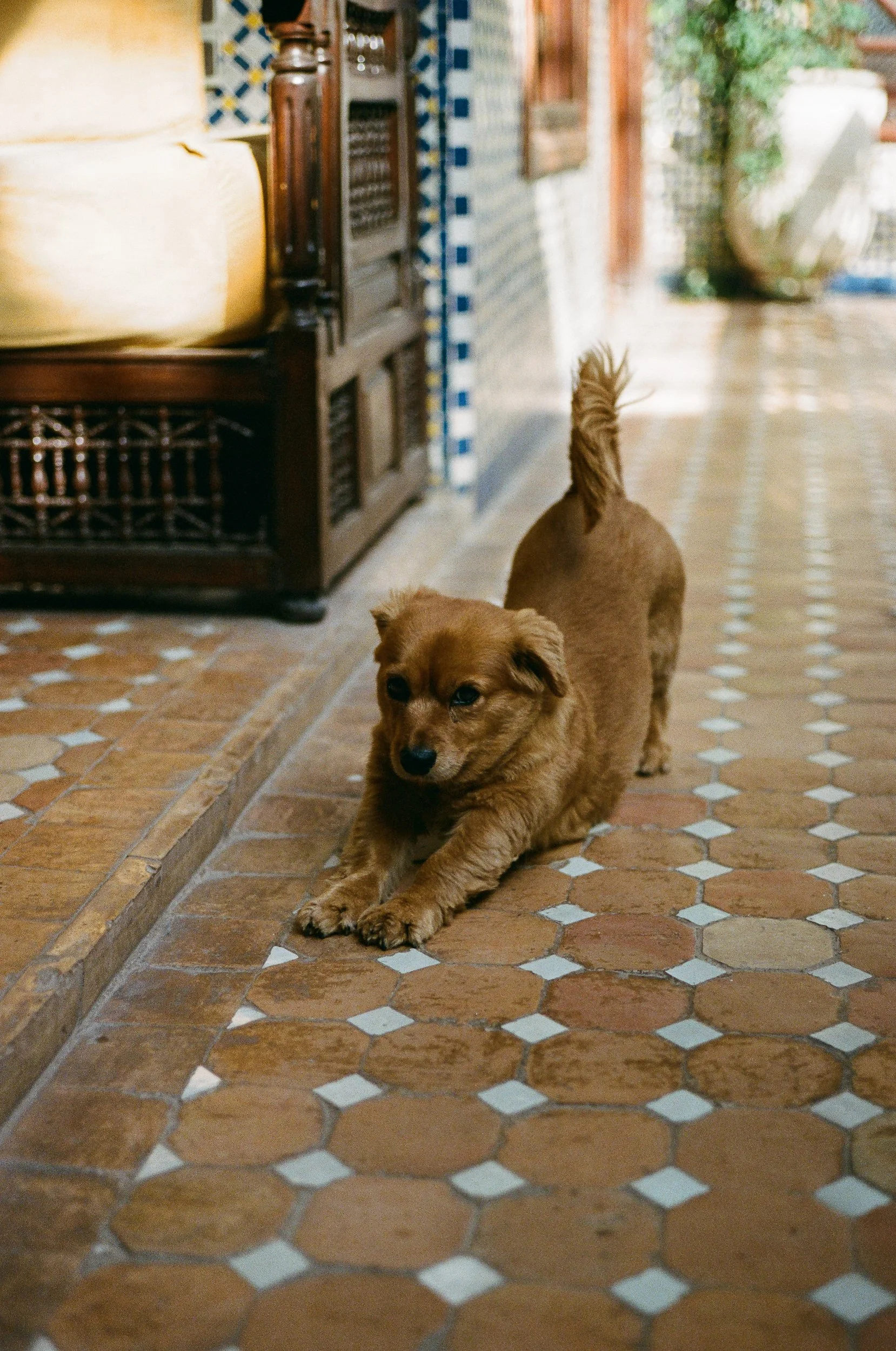 TravelHotelleryPhotographer©Arianna_Roda-12-2.jpg
