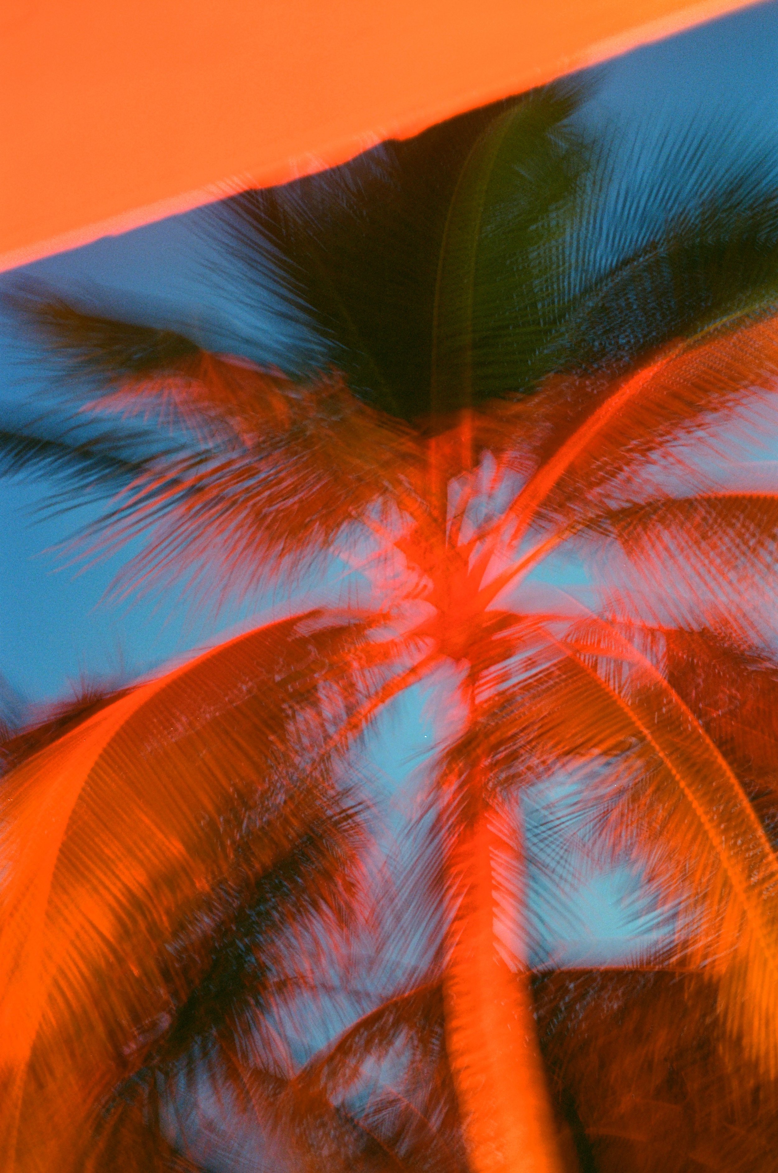Arianna_Roda_Travel_photographer_Maldive_Nilaa_1.jpg