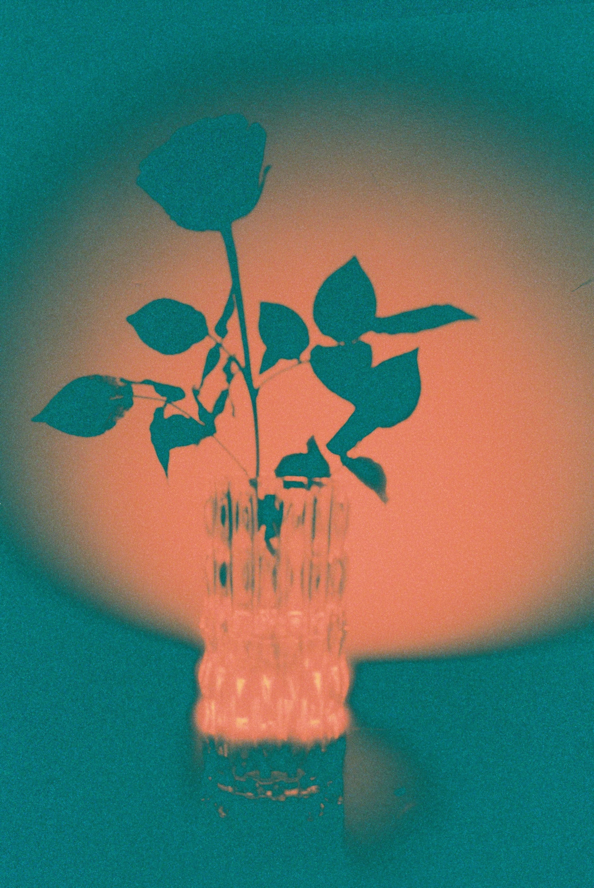 000034.JPG