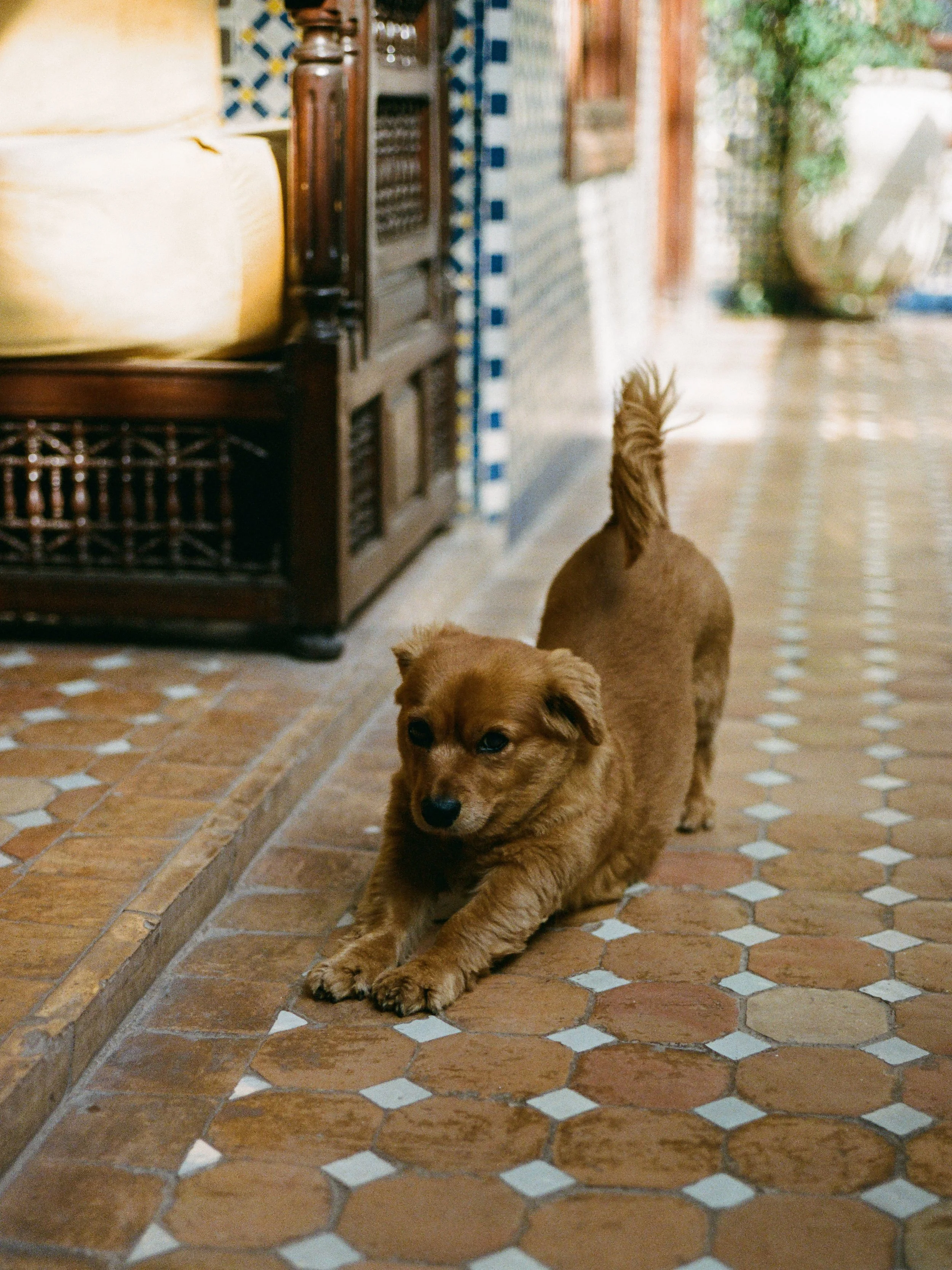 AriannaRoda_Hospitality_photo.jpg