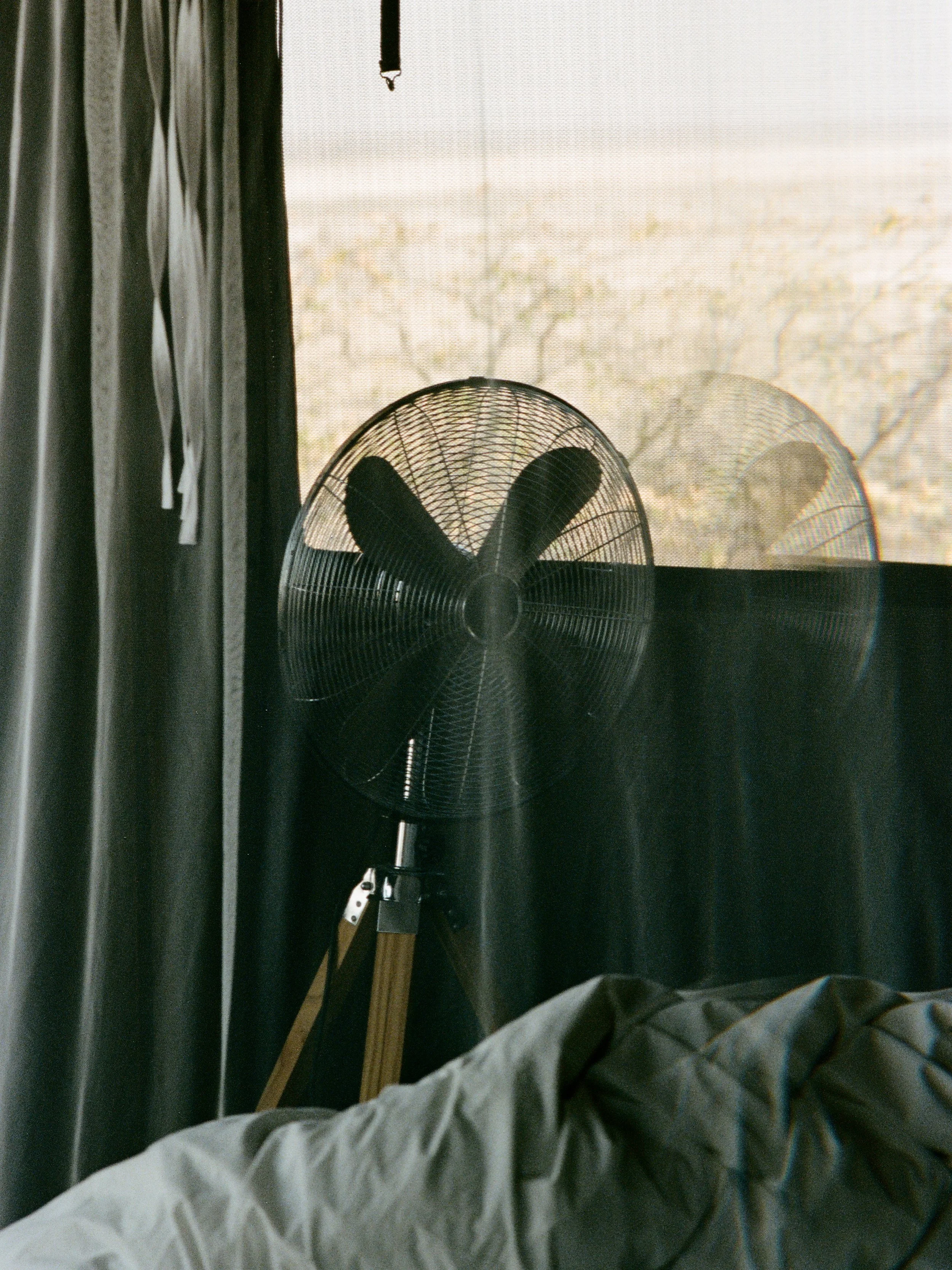 Arianna-Roda_photo.jpg