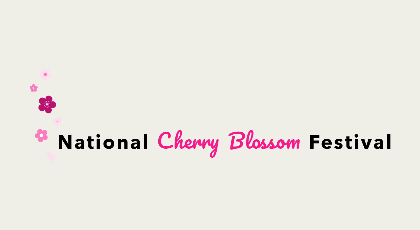 Final logo and branding for the National Cherry Blossom Festival, featuring pink cherry blossoms on a light background.